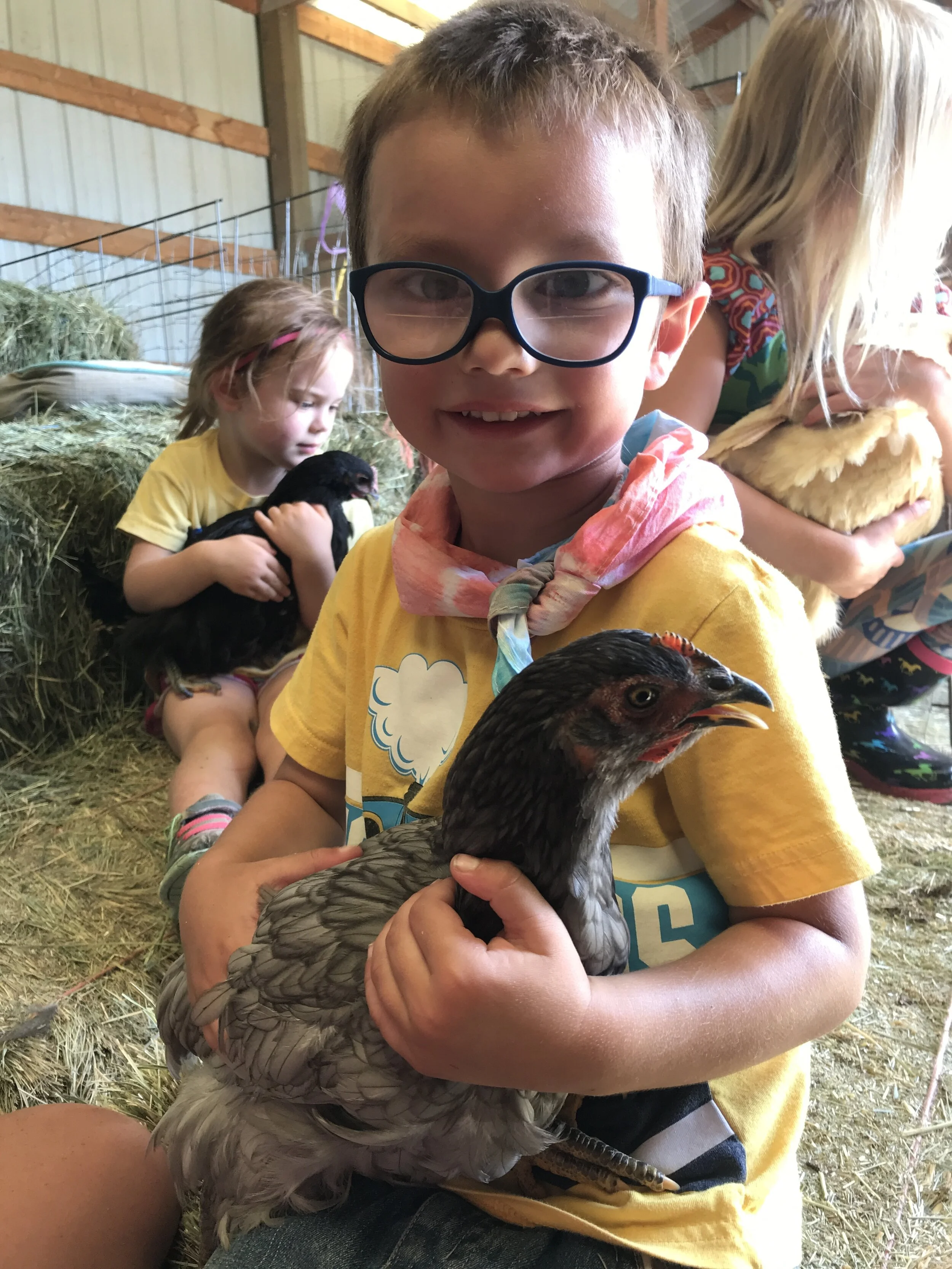 glasses chicken.JPG