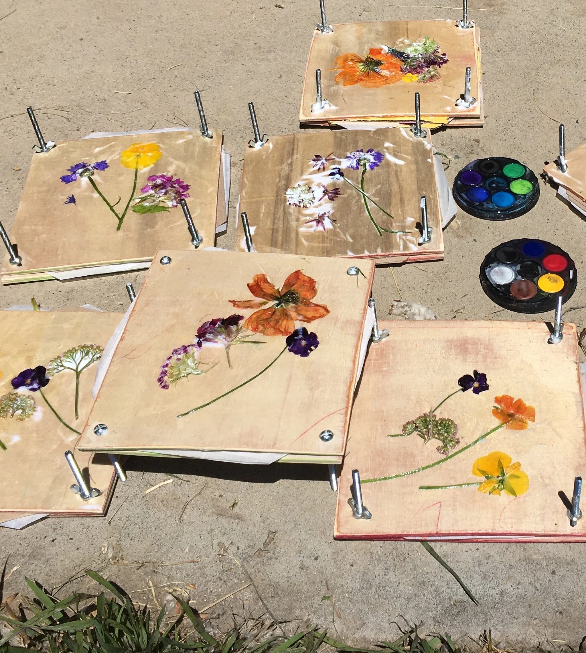 flower presses.JPG
