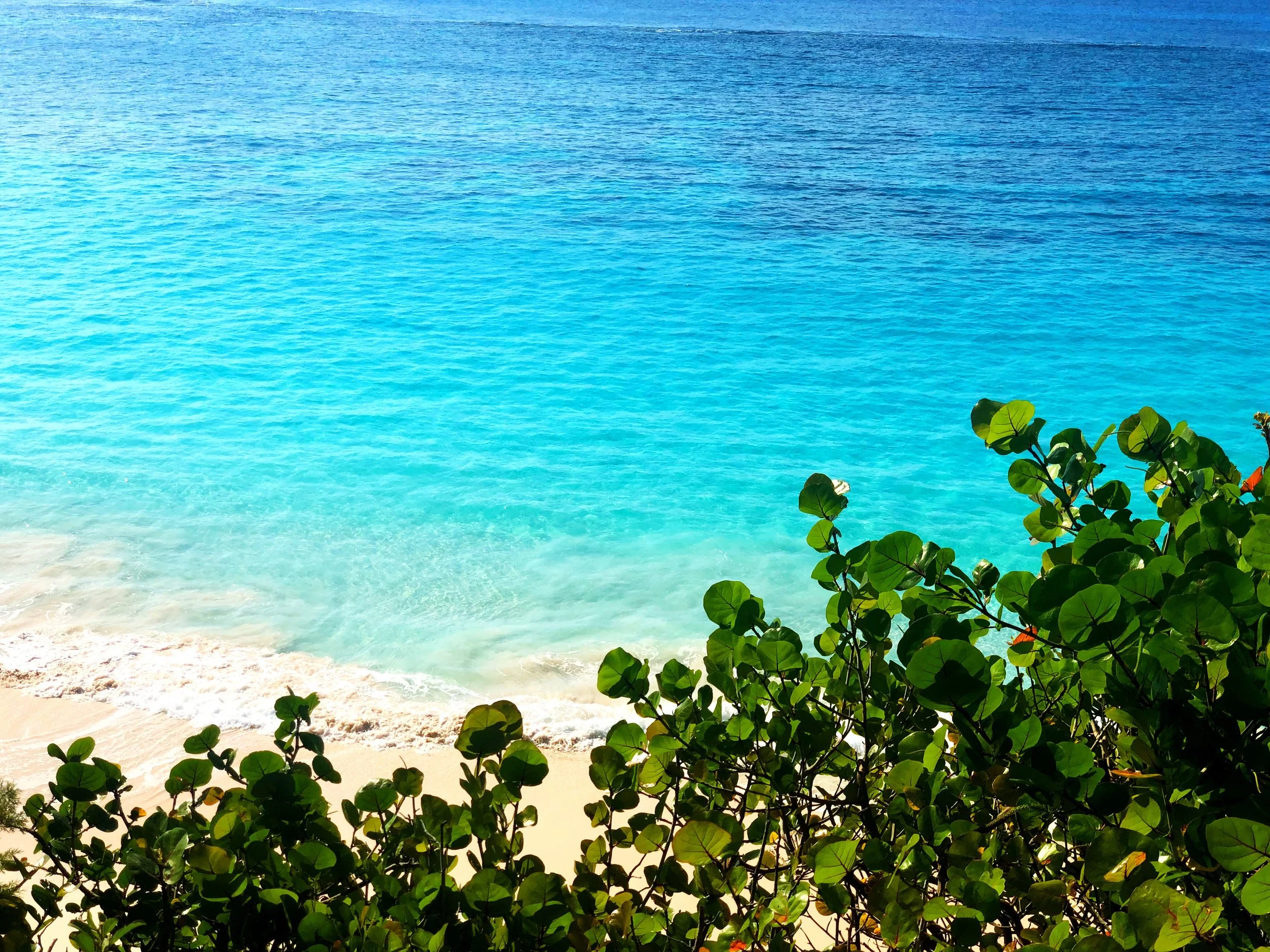 Bermuda, Bahama, Come On Pretty Mama...