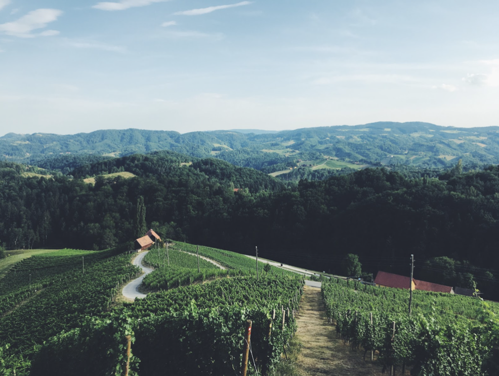 There She Goes: Slovenia Part II