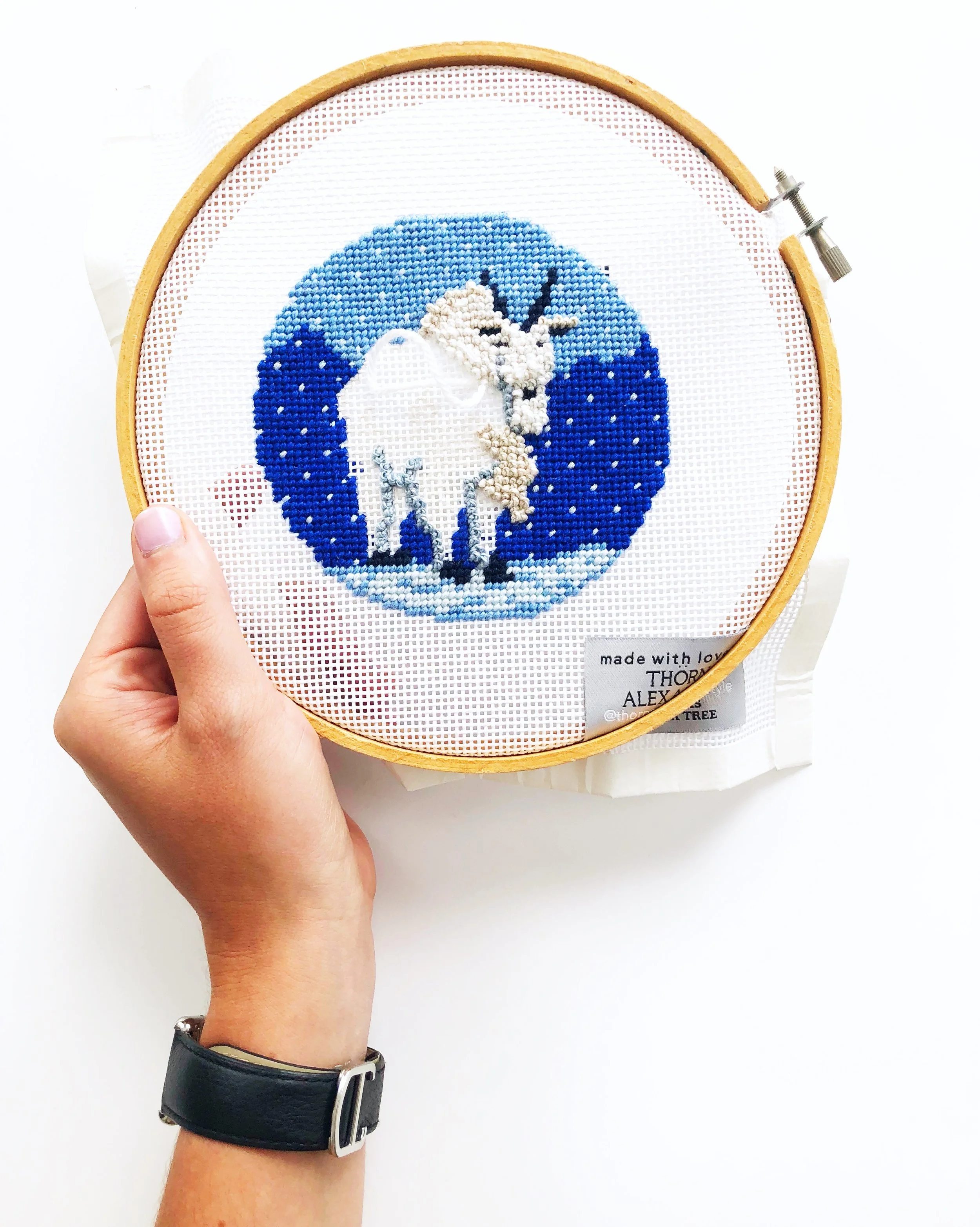 Marty The Mountain Goat