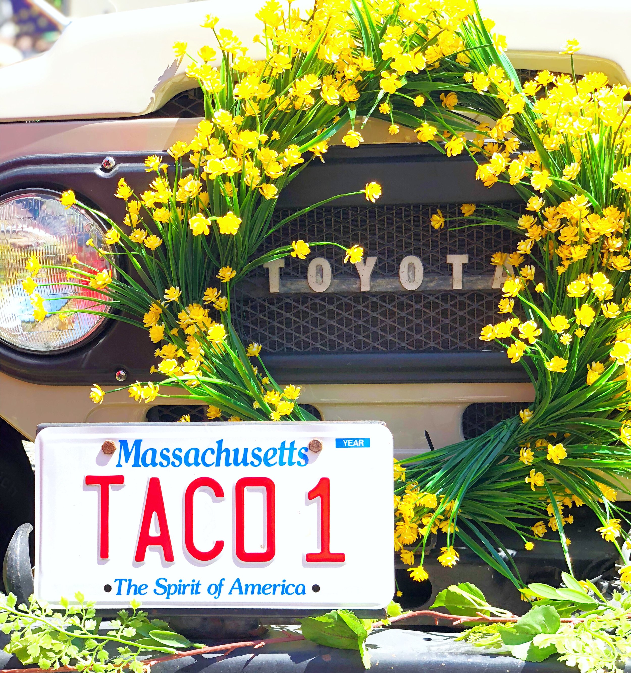 Let’s taco bout the weekend!