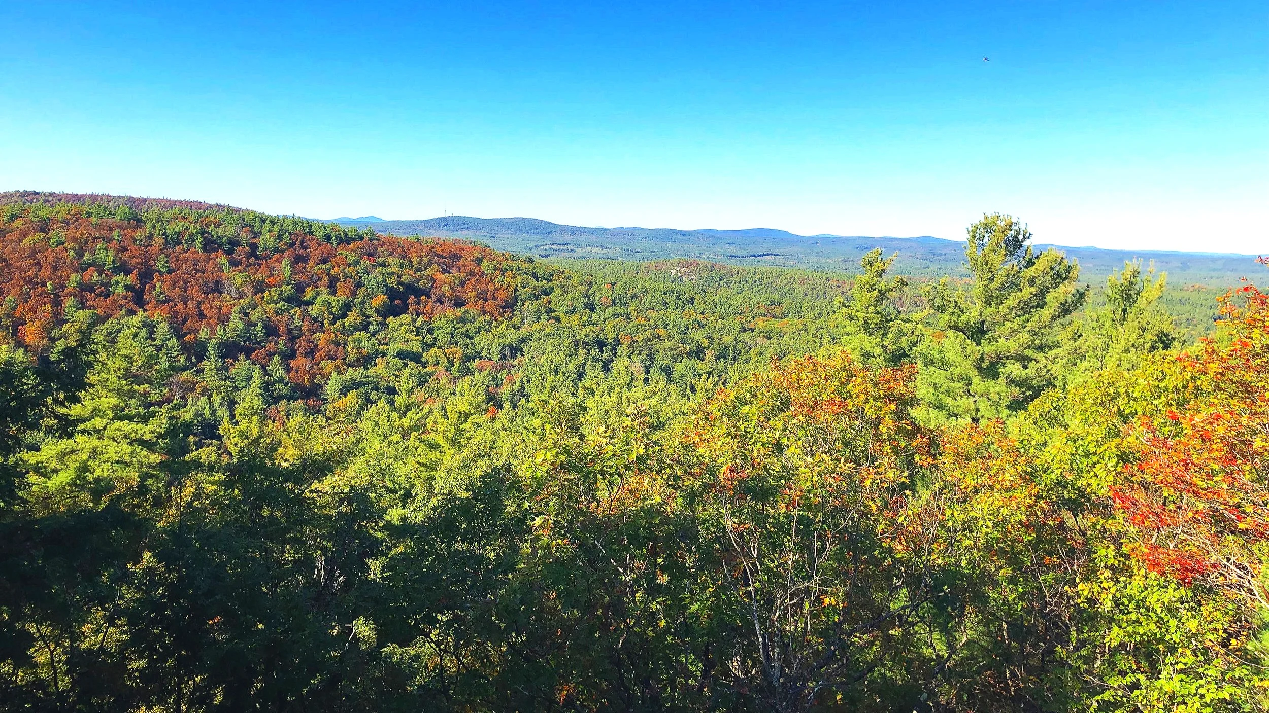 There She Goes: Leaf Peeping Is Good For The Soul