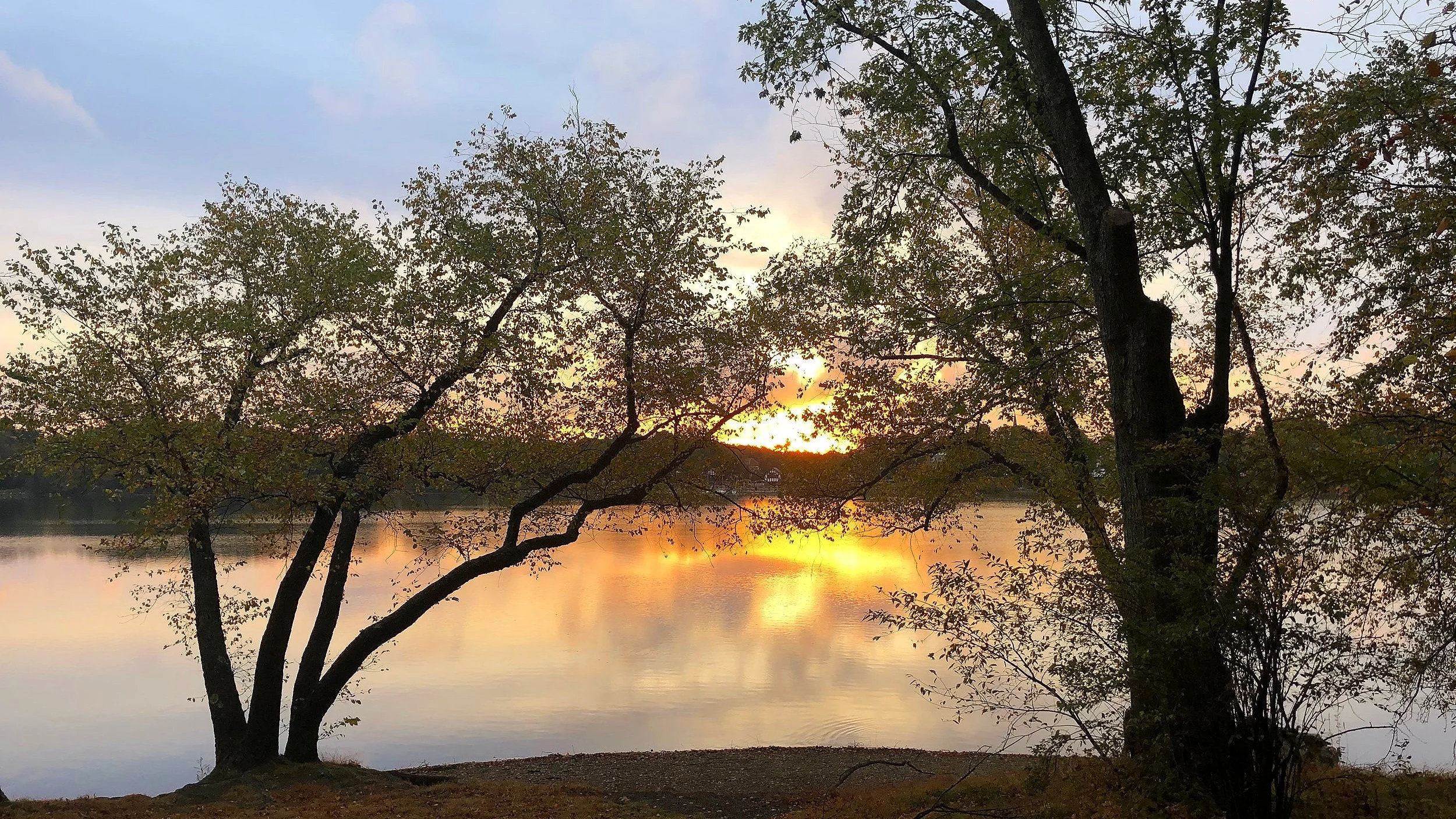 There She Goes: Mystical Musings