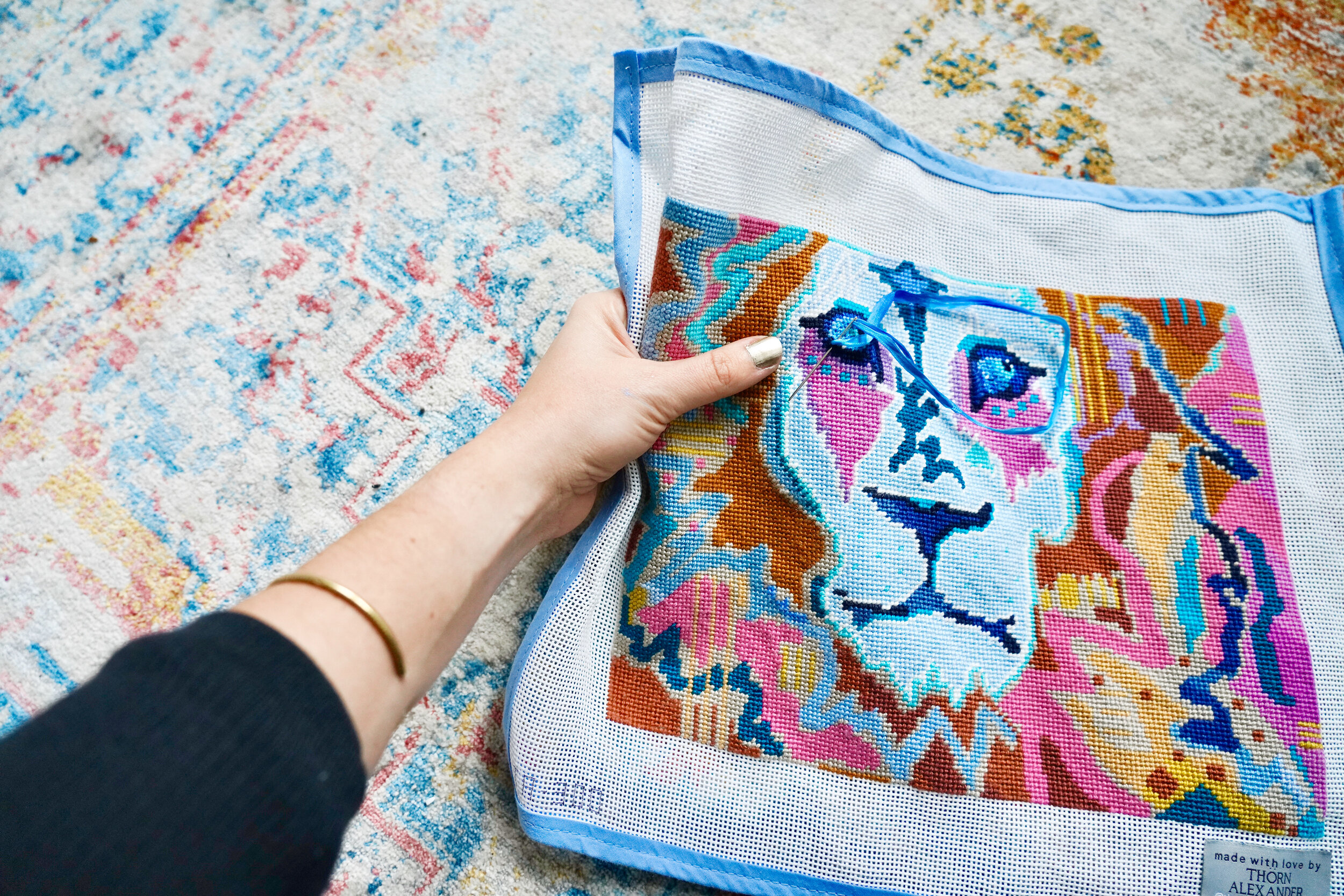 All Stitched Up: The Story of Simba The Lion