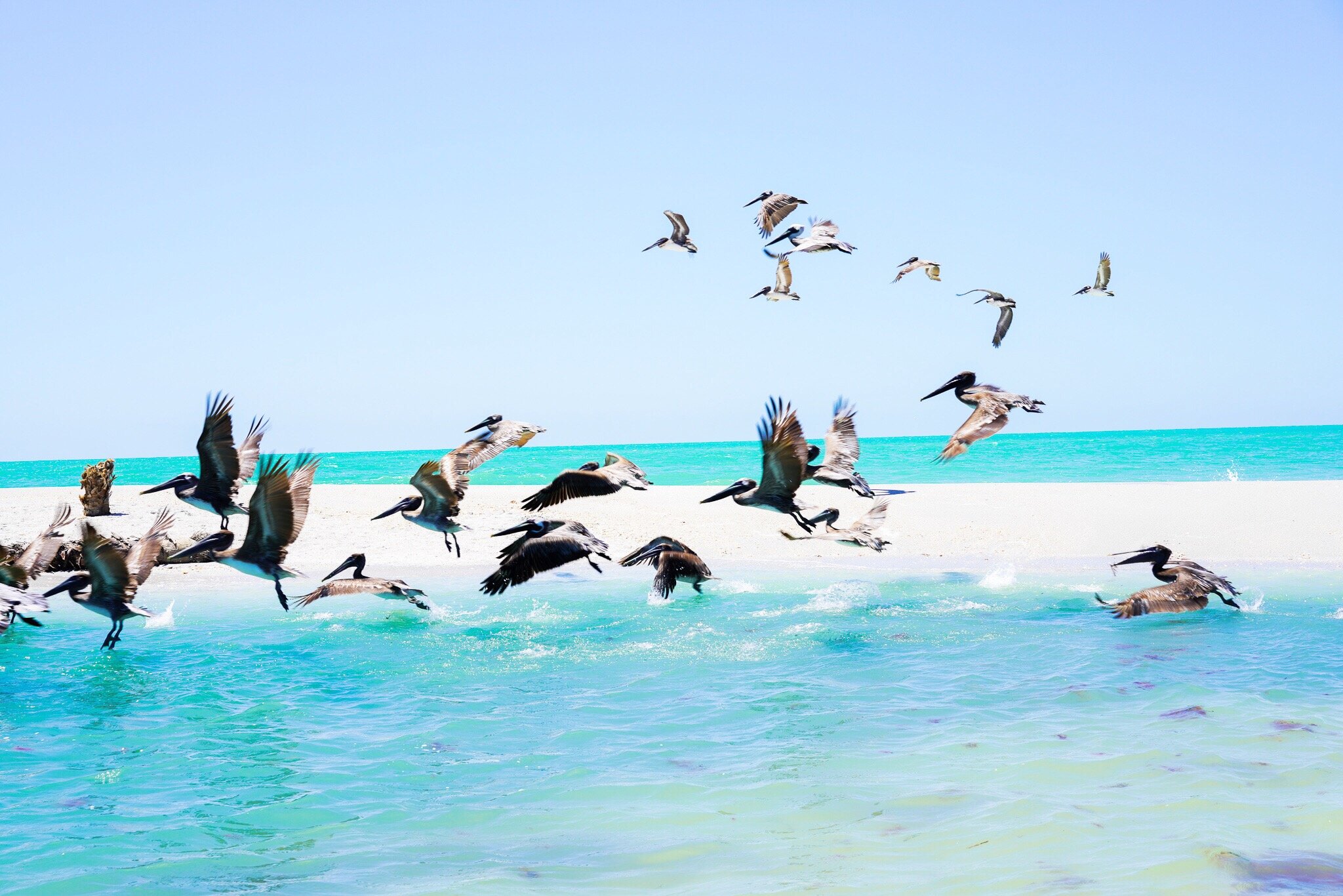 The Right Advice At The Wrong Time by Courteney Bird