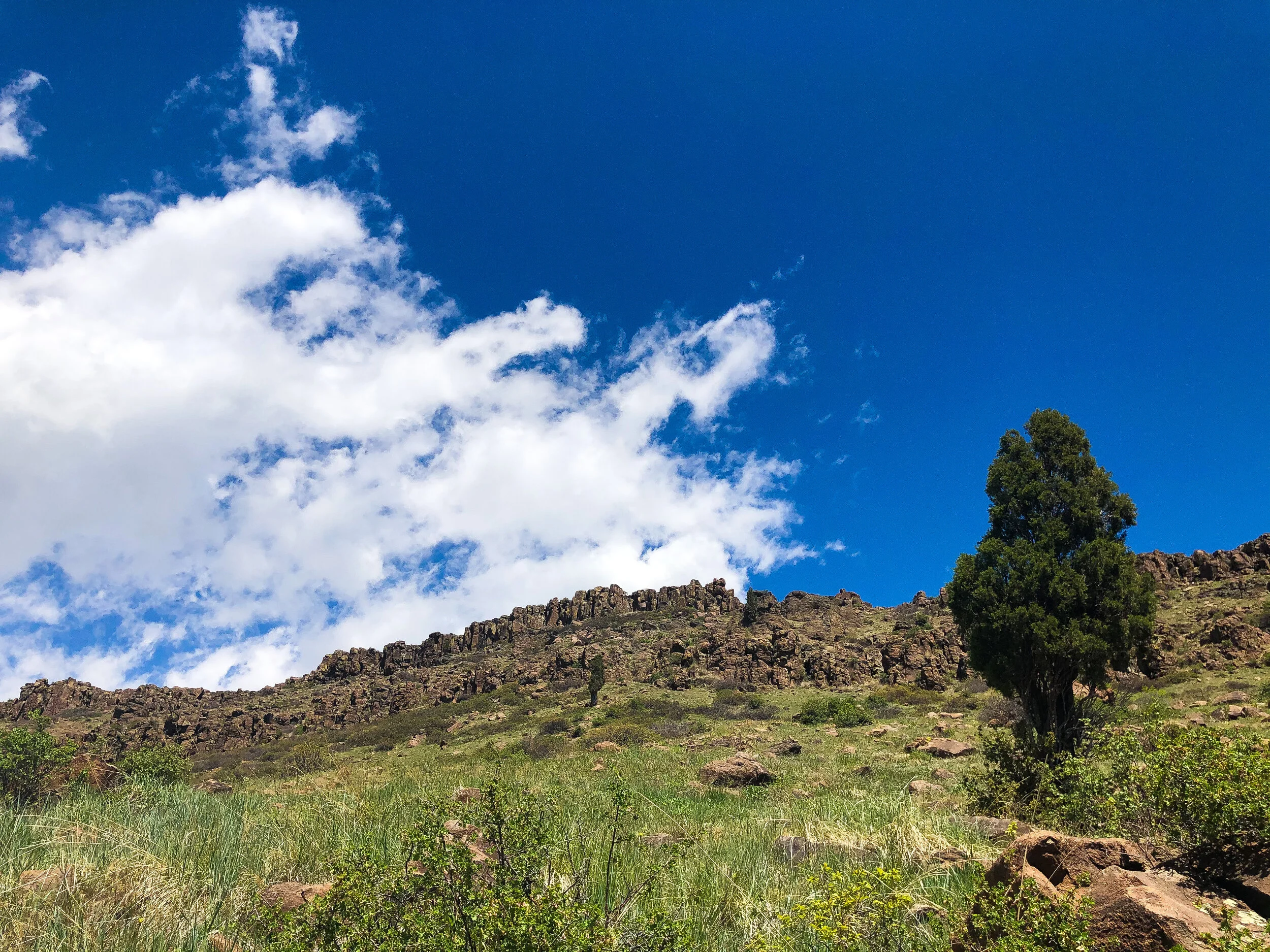 There She Goes: Celebrate Often, Stitch Often.