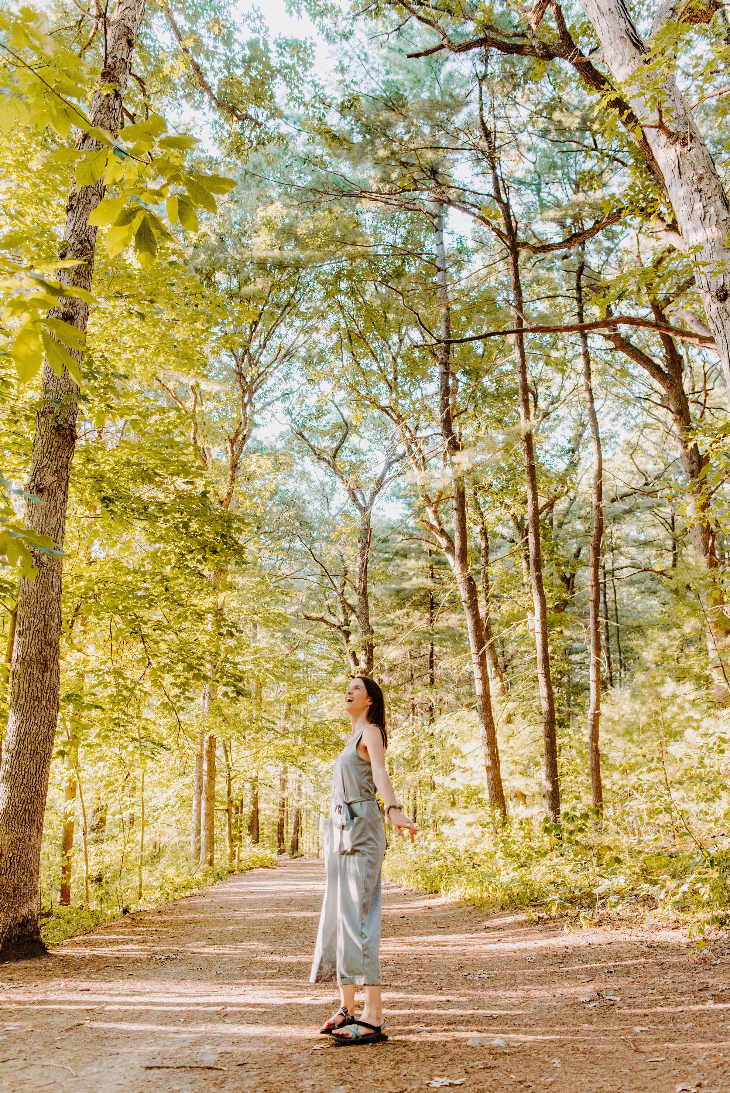There She Goes: Turn Your Face Up To The Trees