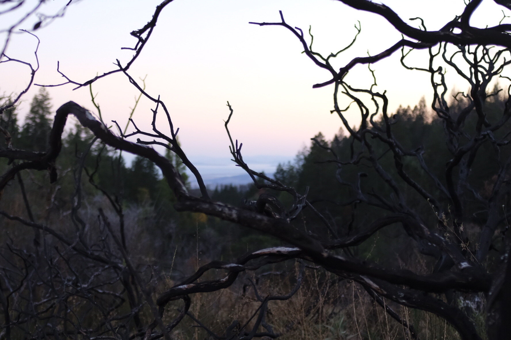 There She Goes: We’re Going Compostable.