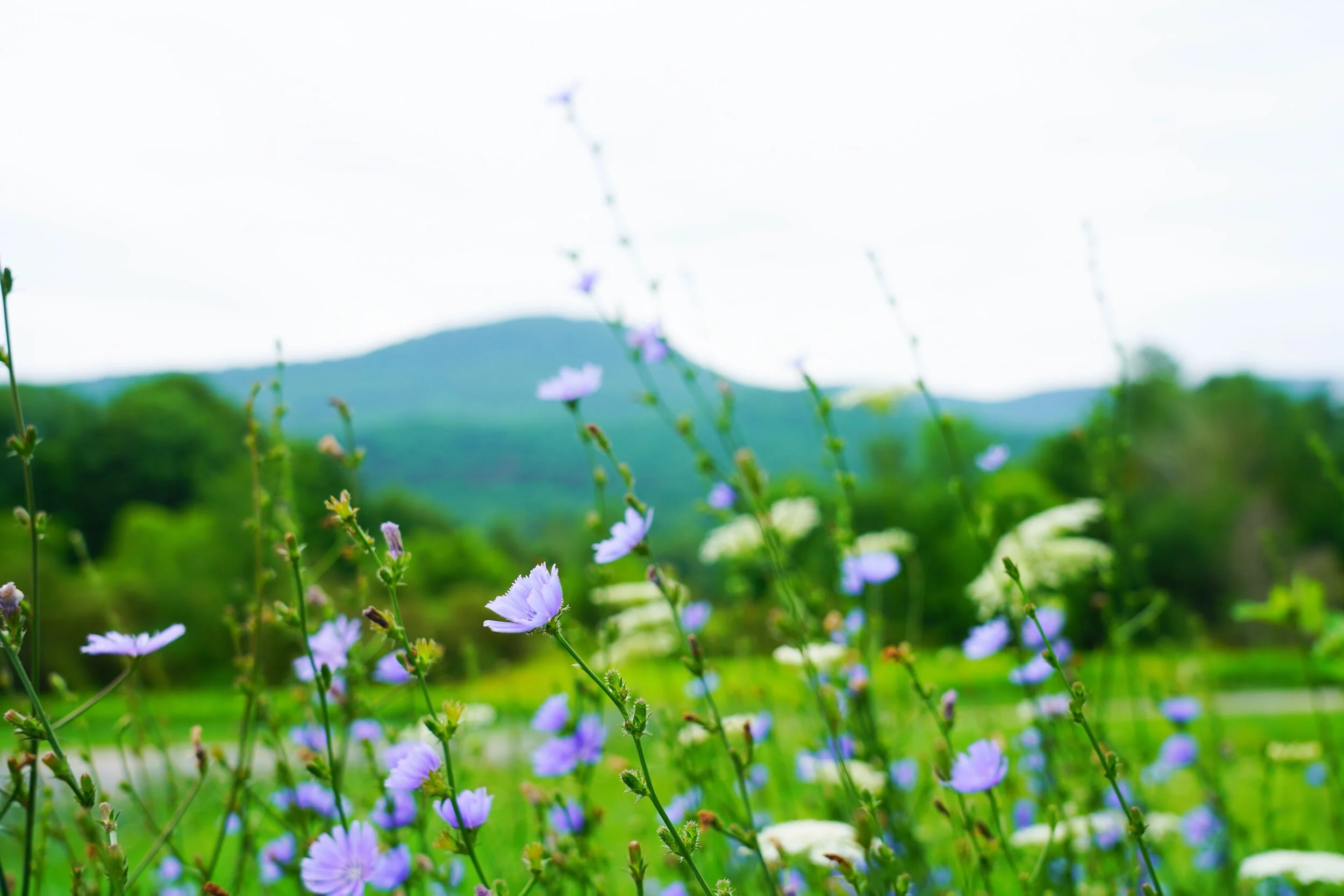 73F75098-AADD-448F-B992-0FC16DB85E02.JPG