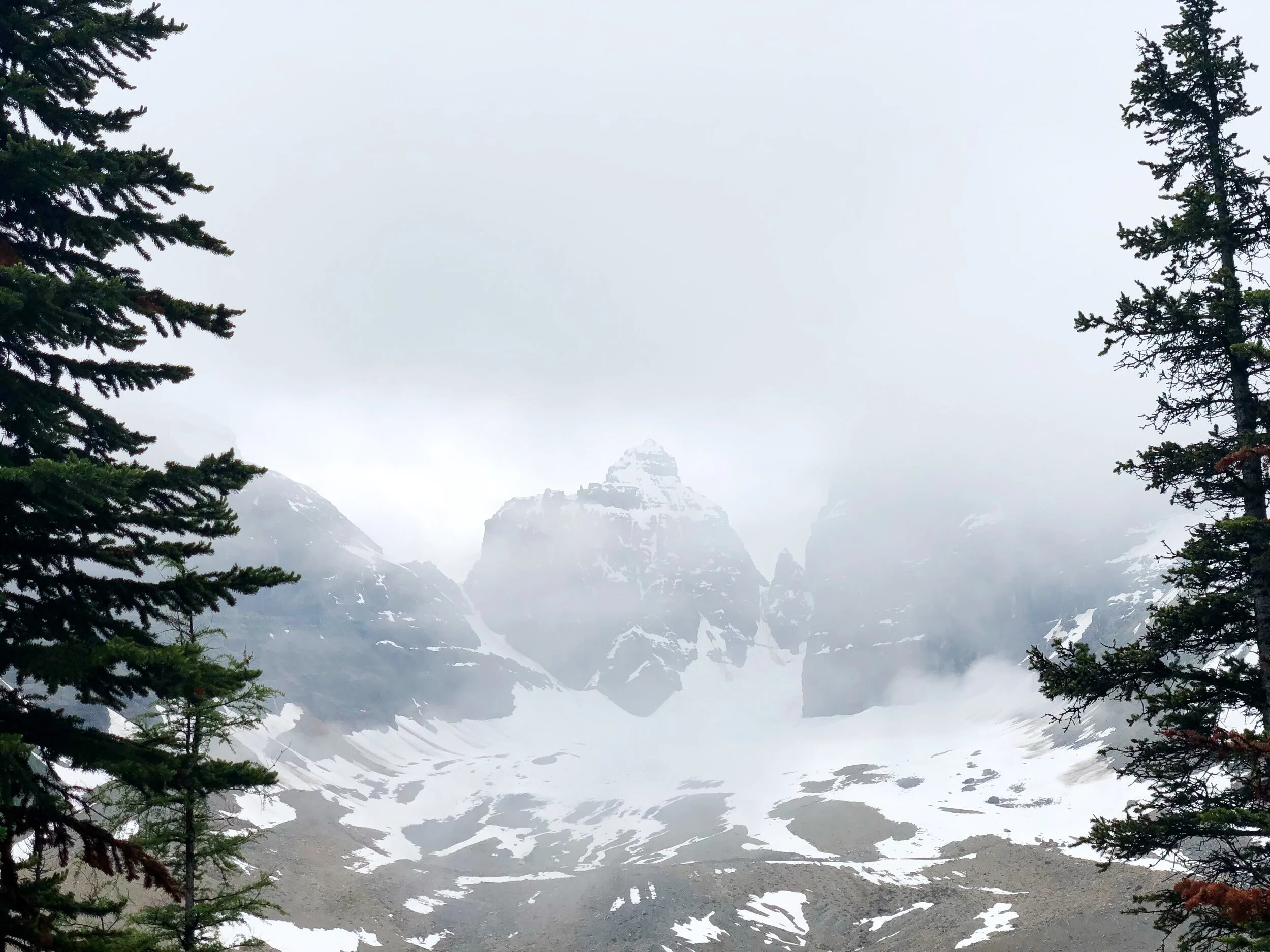 C1E78DE8-53AC-4B34-BCAB-8A7A3DBDAF8A.JPG