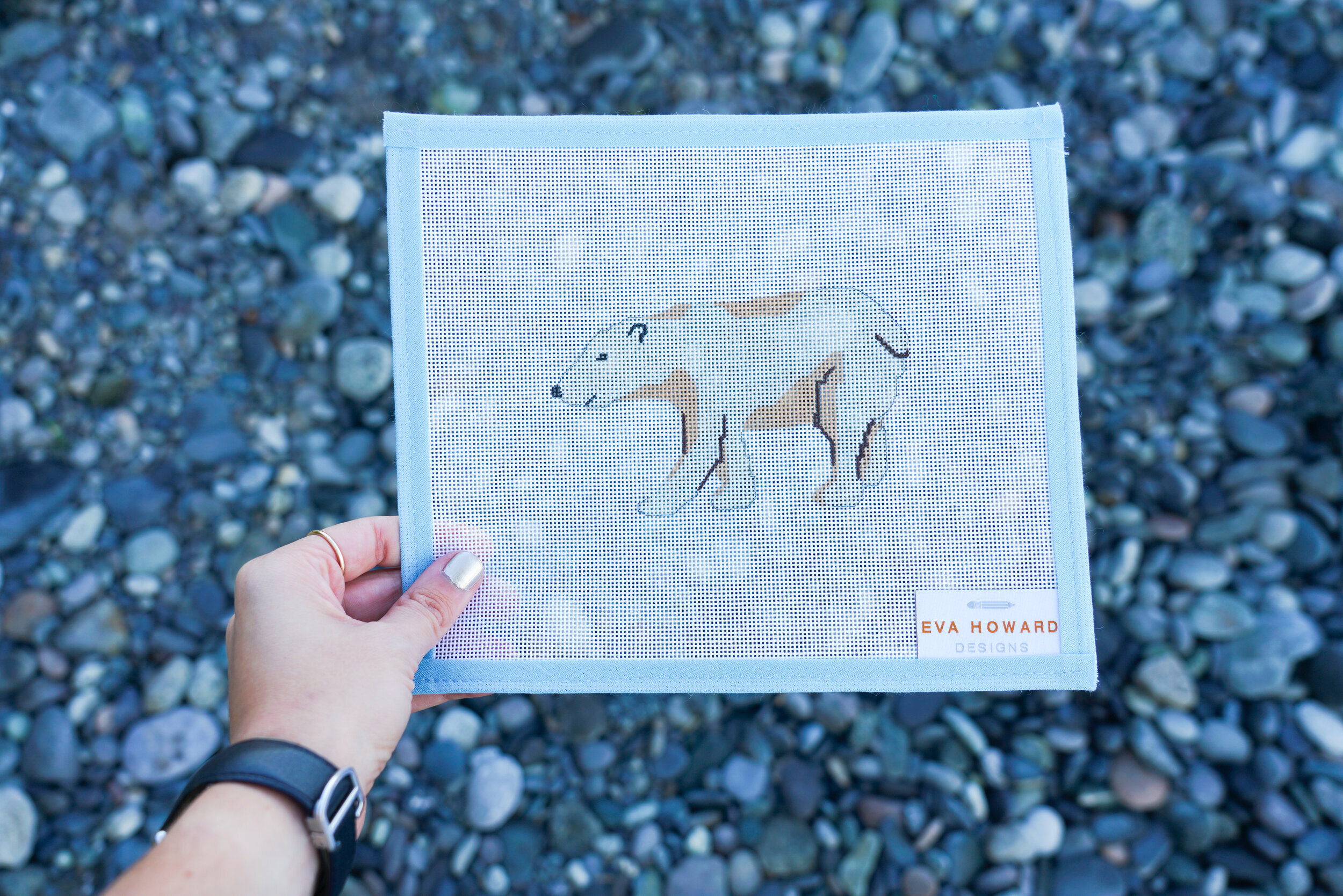polar-bear.jpeg