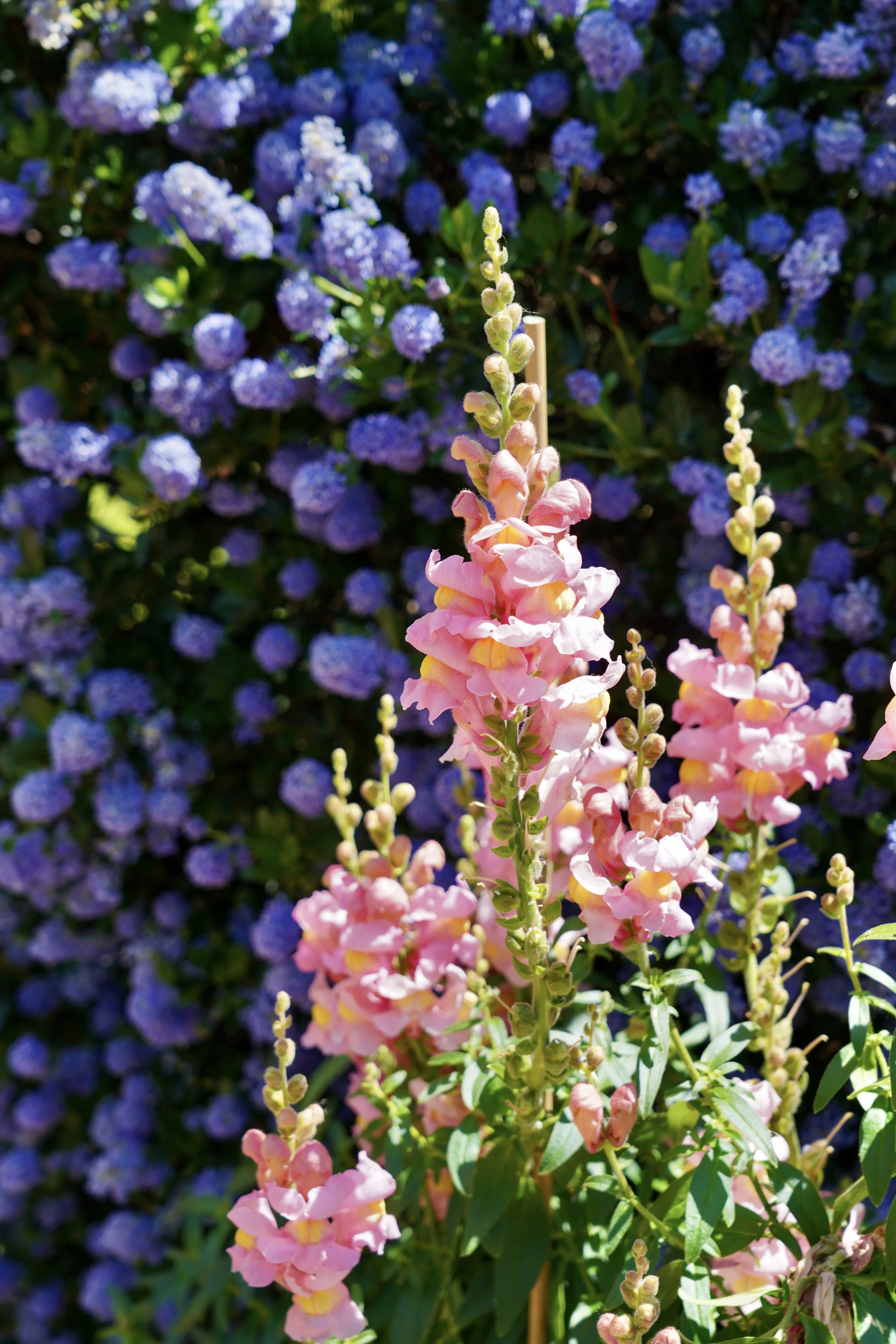 There She Goes: Soul Stitching Through 2021