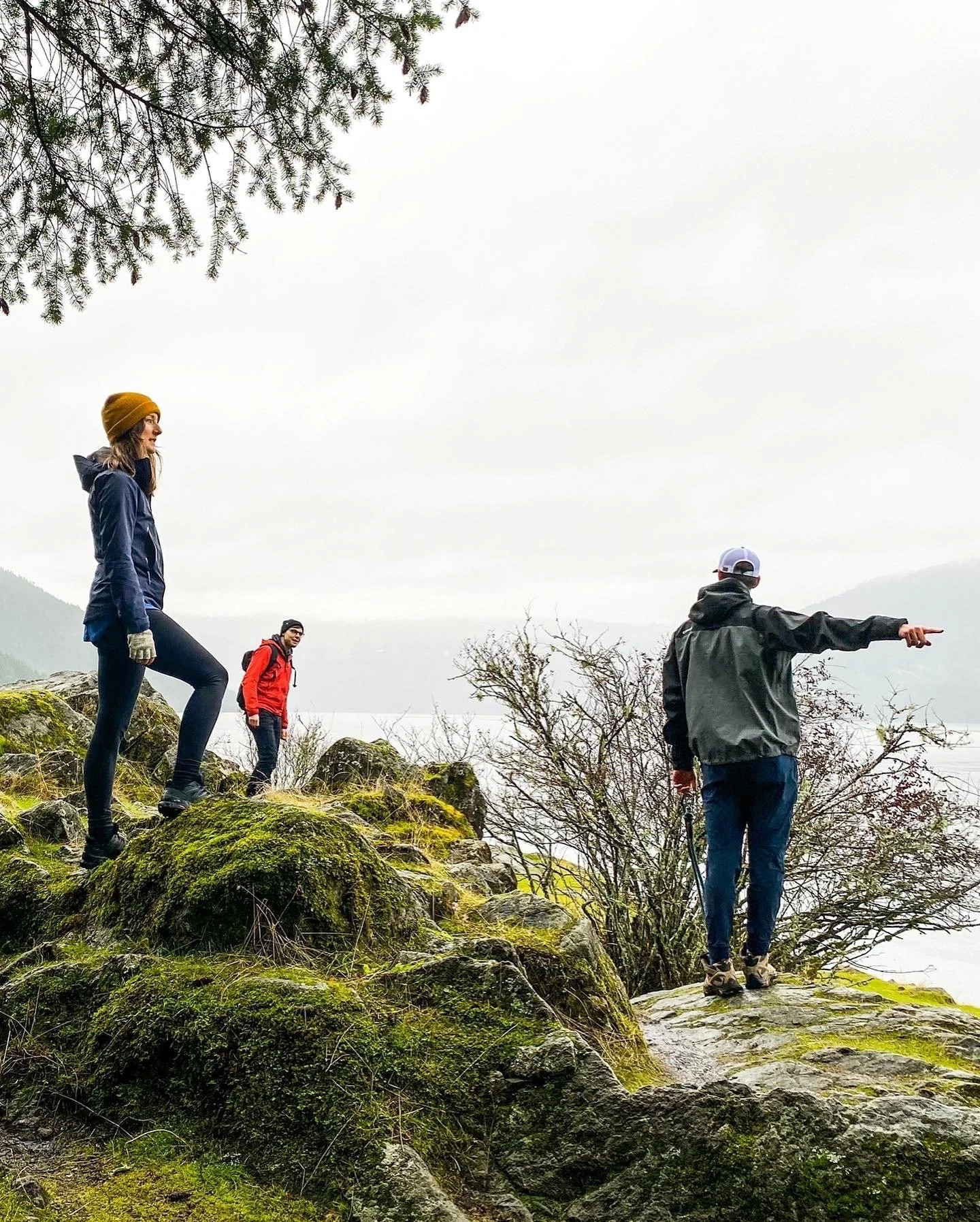 Brooke's Bookshelf: January 2023 Vol. 1