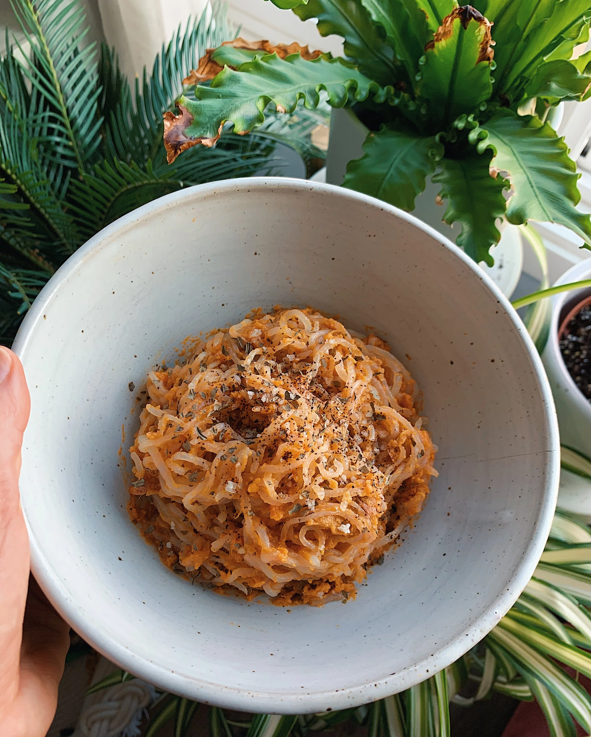10 Minute Sesame Shirataki Noodles with Sweet Potato
