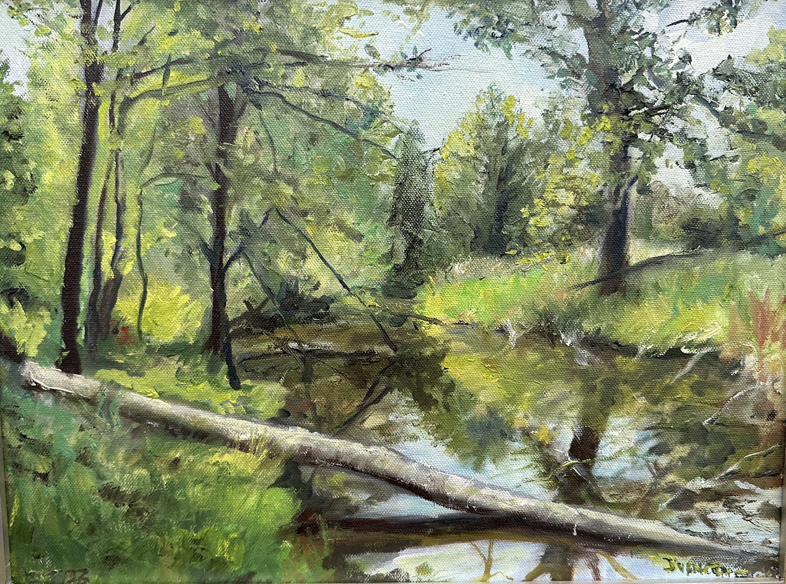 Sloan Park Creek
11 x 14 oil on canvas (Framed)
SOLD