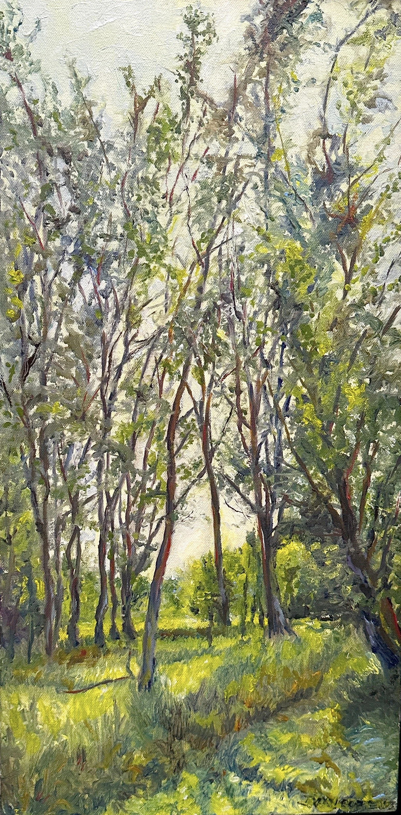 Sloan Park Meadow
12 x 24 oil on canvas (framed)
$450