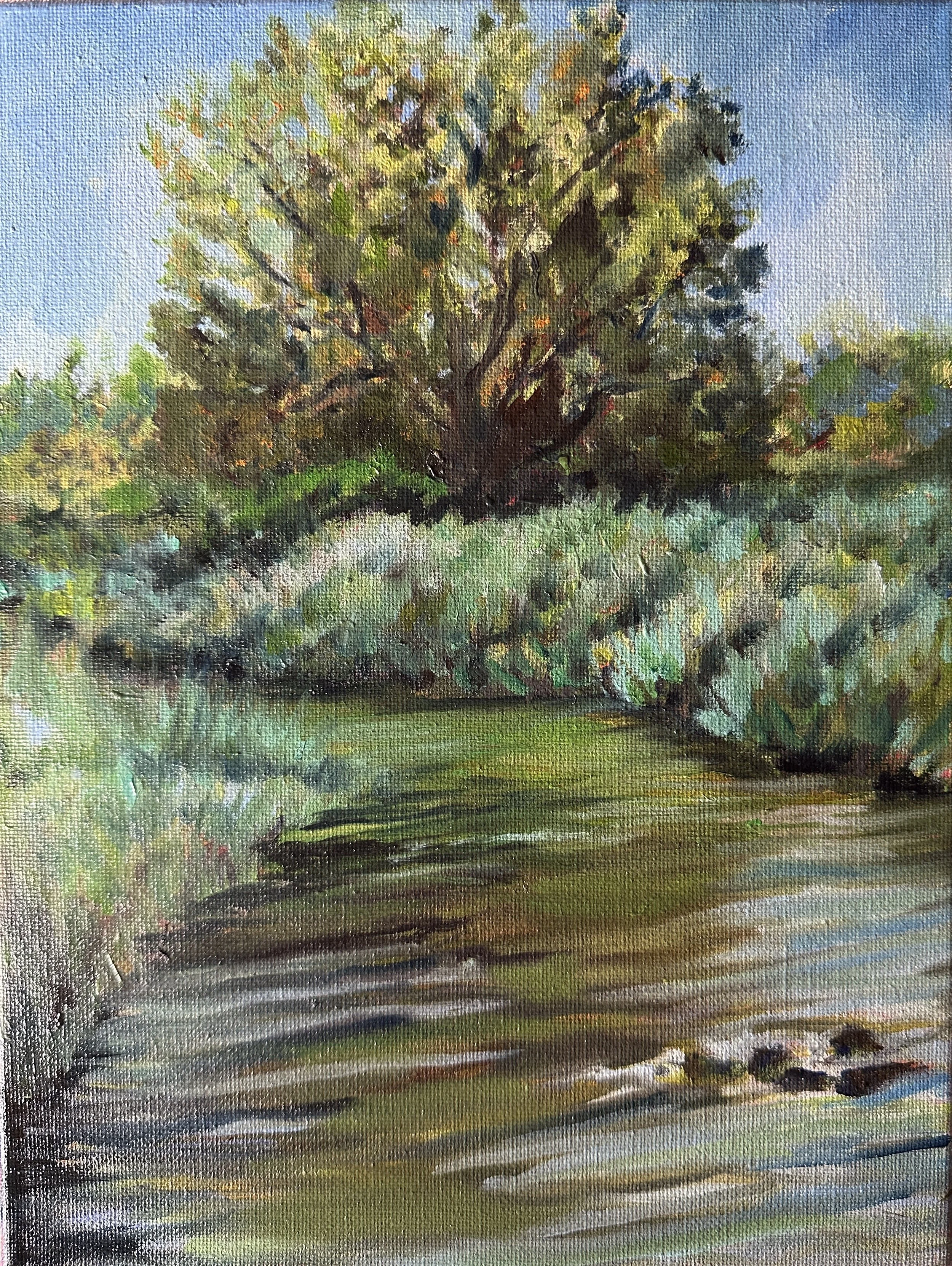 Mill Creek
9 x 12 oil on canvas (Framed)
$275