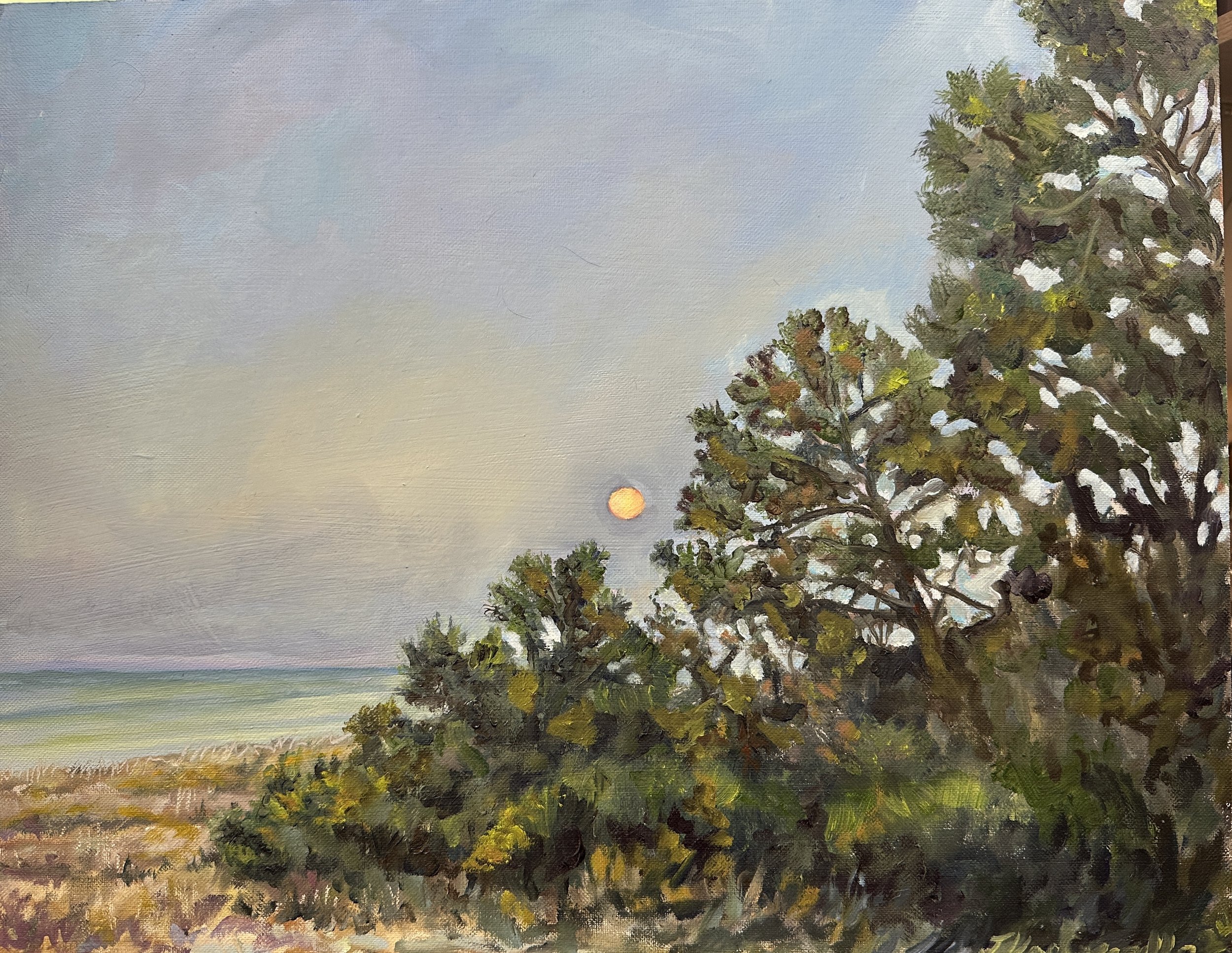 Moon setting on the Point
14 x 18 on Panel (Framed)
$375
