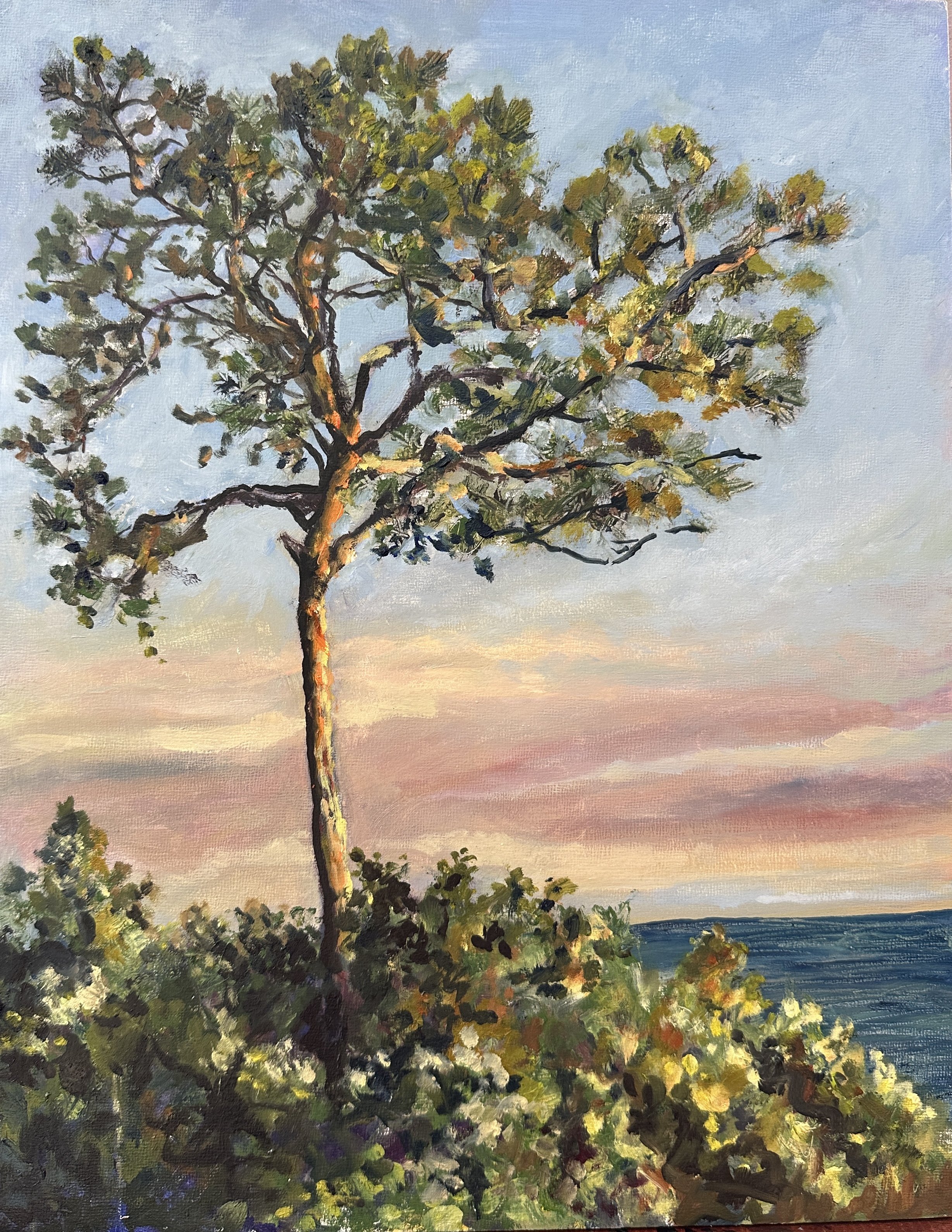 Sunrise on Point
11 x 14 oil on panel
$275