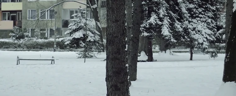 Single channel projection or cinema screening, HD video, 2.35:1, mono sound, 24min, 2013, Poland