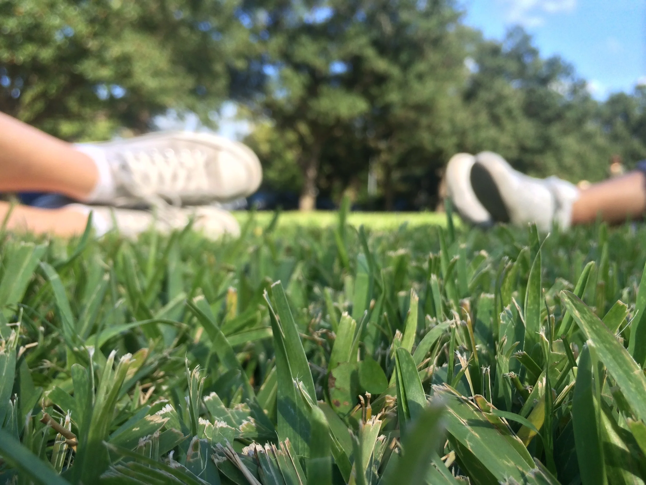 Houston Conference + Menil Museum