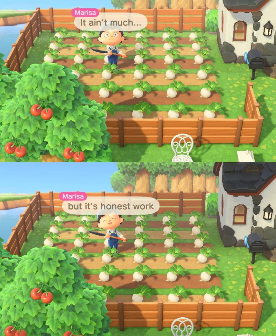 IMG_3420.png