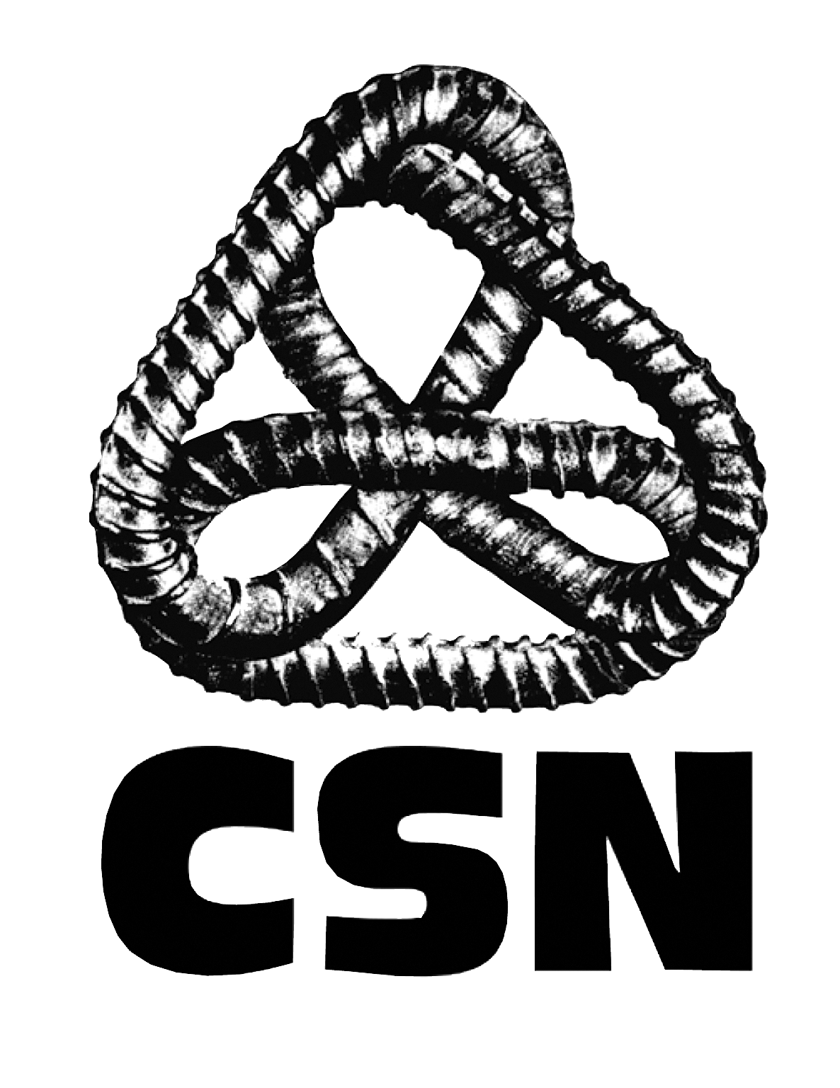 Logo-csn.png