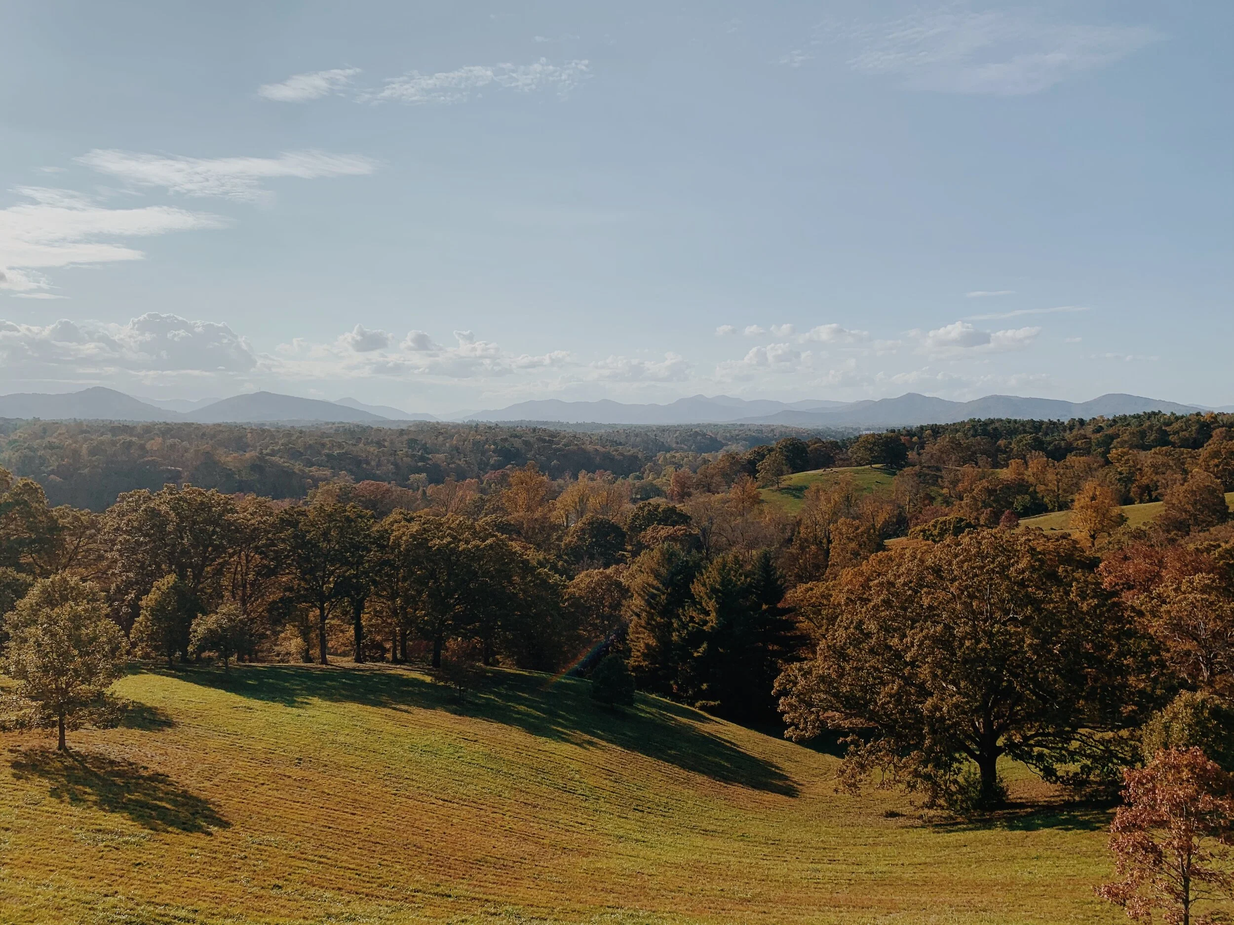 Asheville is the Perfect Destination for Good Food, Sights and Things to Do