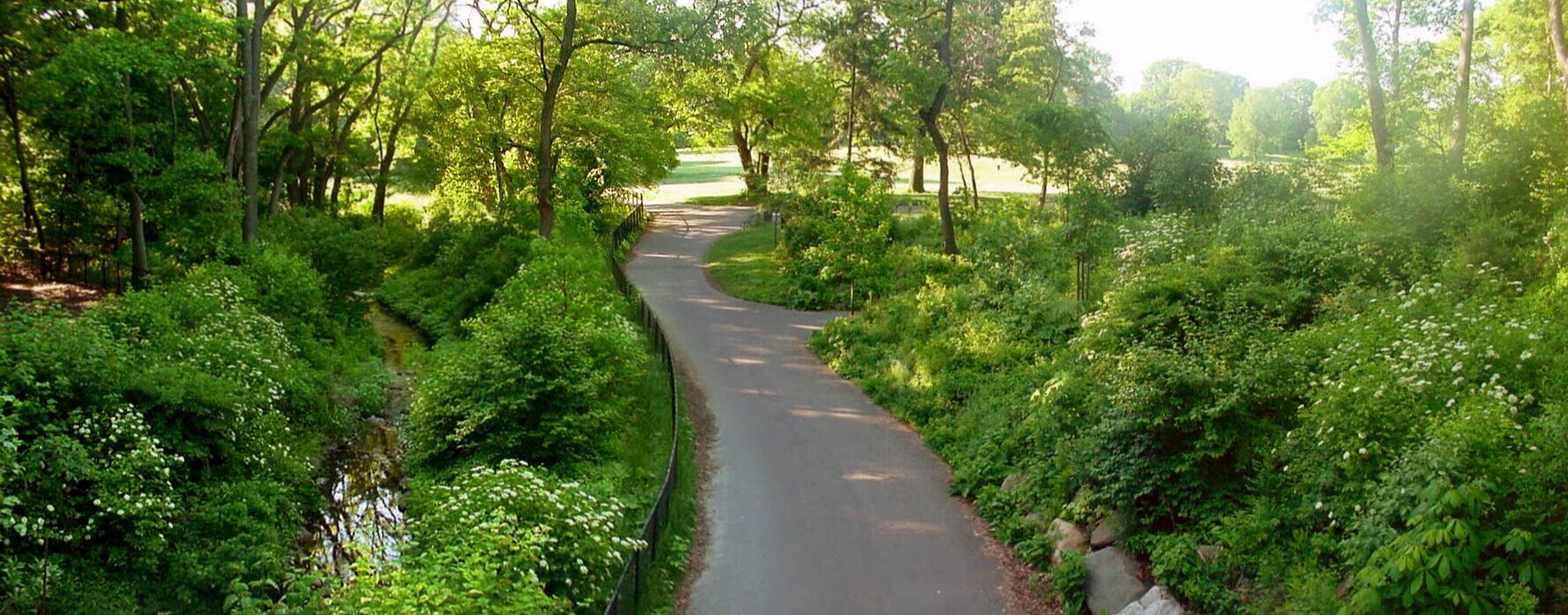 ProspectPark_Brooklyn_Nethermead.jpg