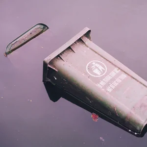 The Survivor Image.jpg