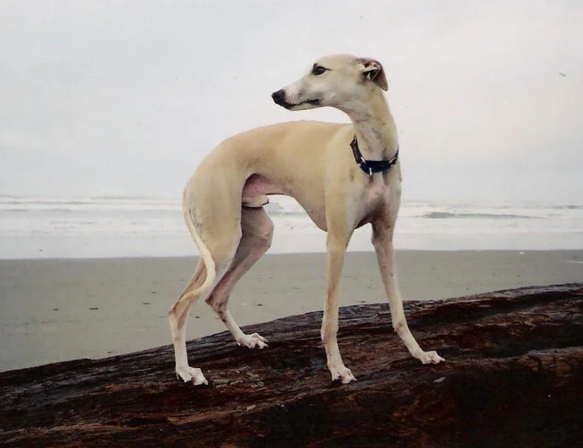 13 years old photo by Beth Levine