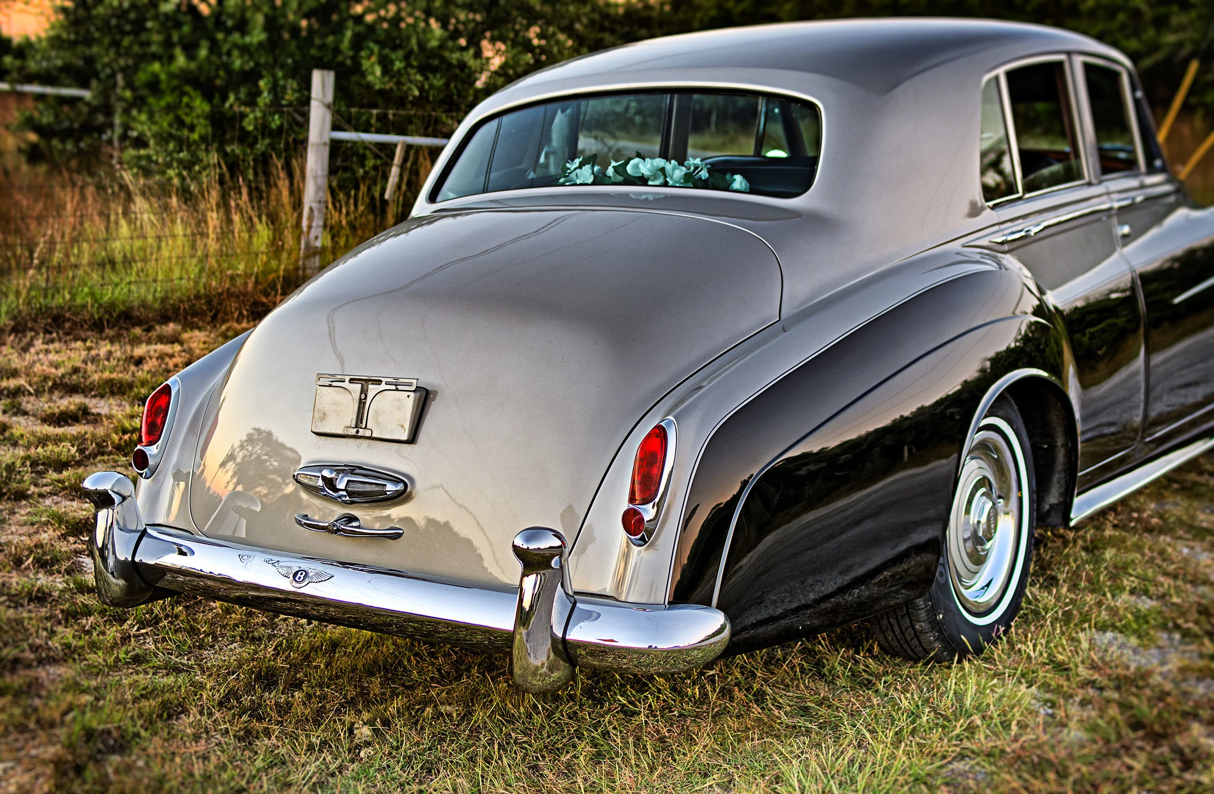 bentley3.jpg