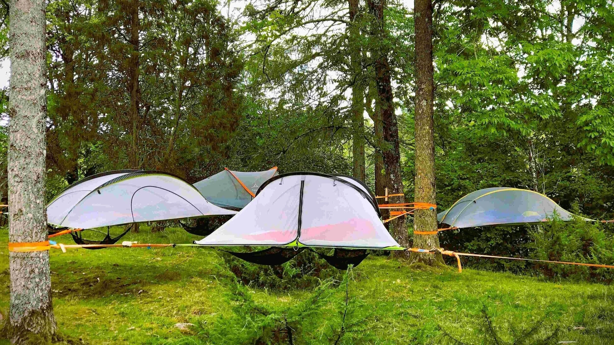 Flera tensile trädtält uppsatta tillsammans hos Pevon Ecoturism