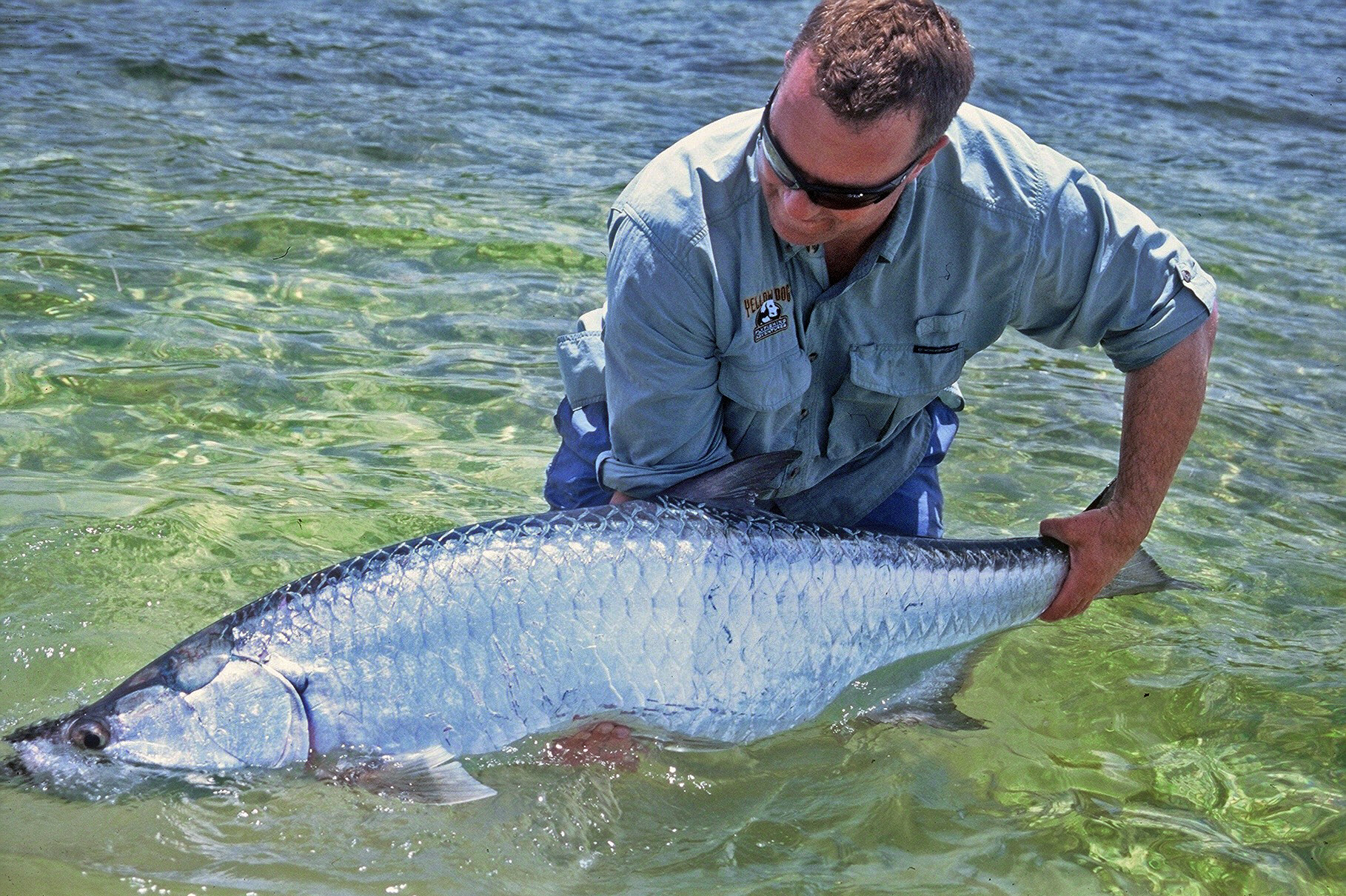 Big Ambergris Tarpon.jpg