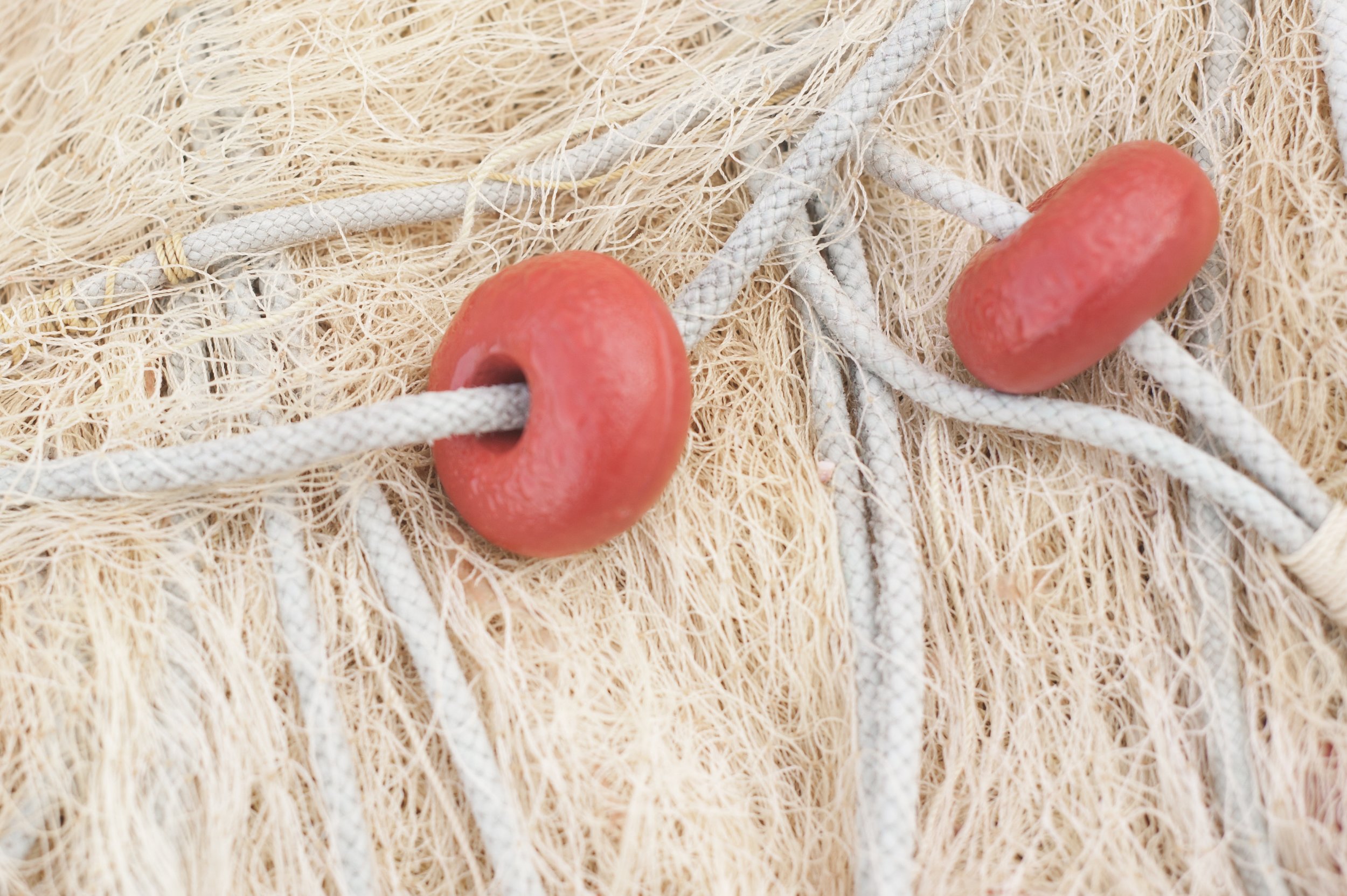 cordage-details-fishing-net-45988.jpg