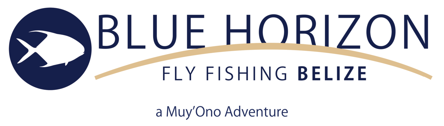 Blue Horizon operates inside the protection of the Belize Barrier Reef. This is the epicenter of the finest flats in the world. We fish daily around a chain of small cayes from north of Dangriga to south of Placencia. Miles of undisturbed flats surround each of our resort options, increasing your chances of success at hitting the grand slam: permit, tarpon and bonefish.
