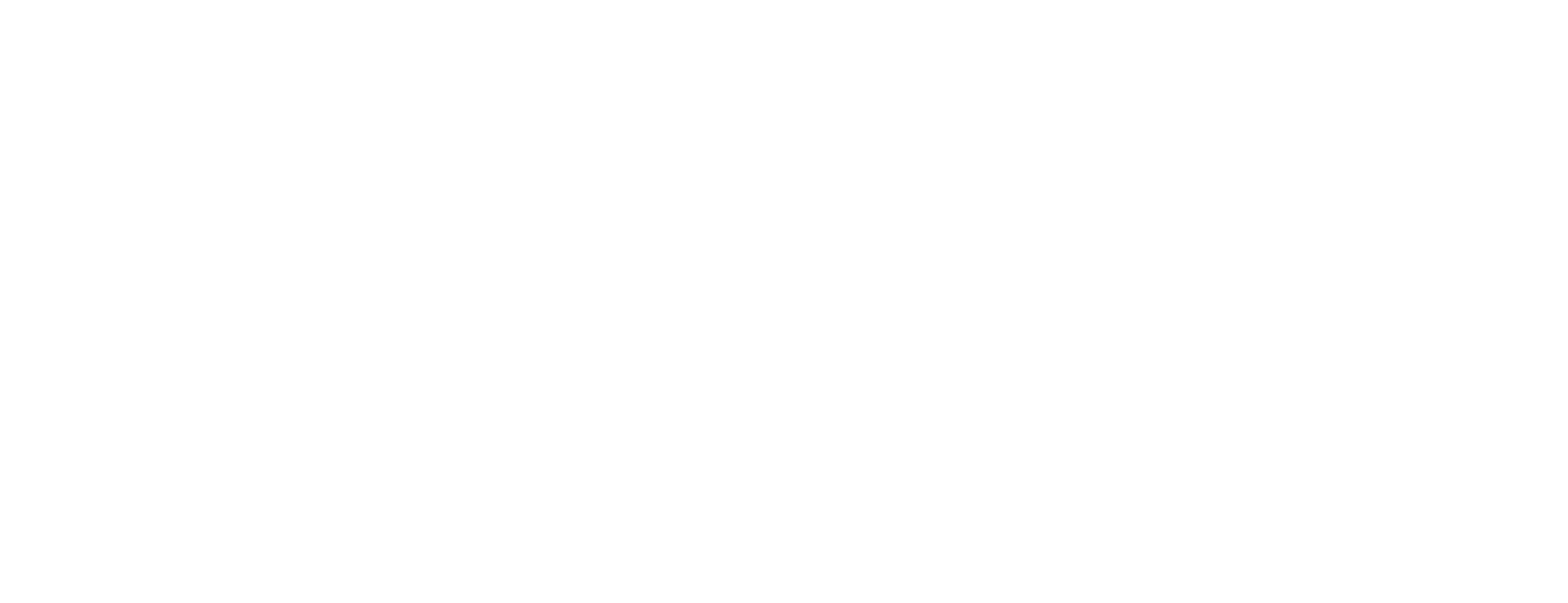 Level Beauty Collective