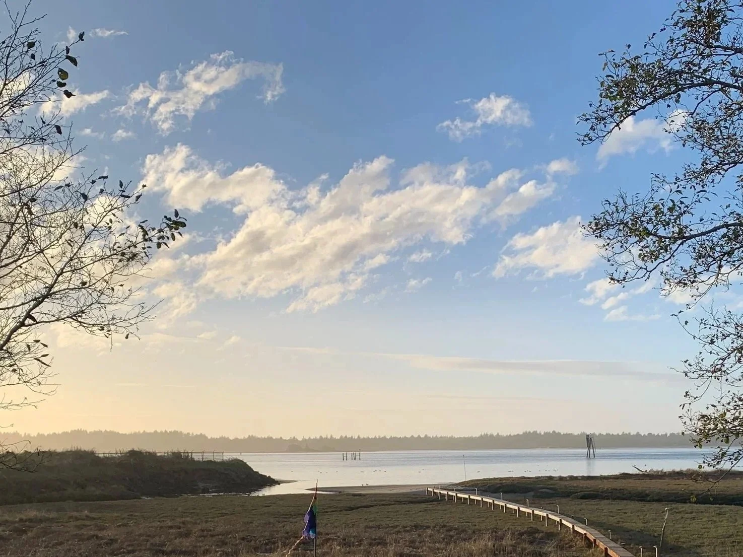 A view of central Coos Bay of the point of strawberry island from the view of Cape Argo Highway in Historic Empire.
