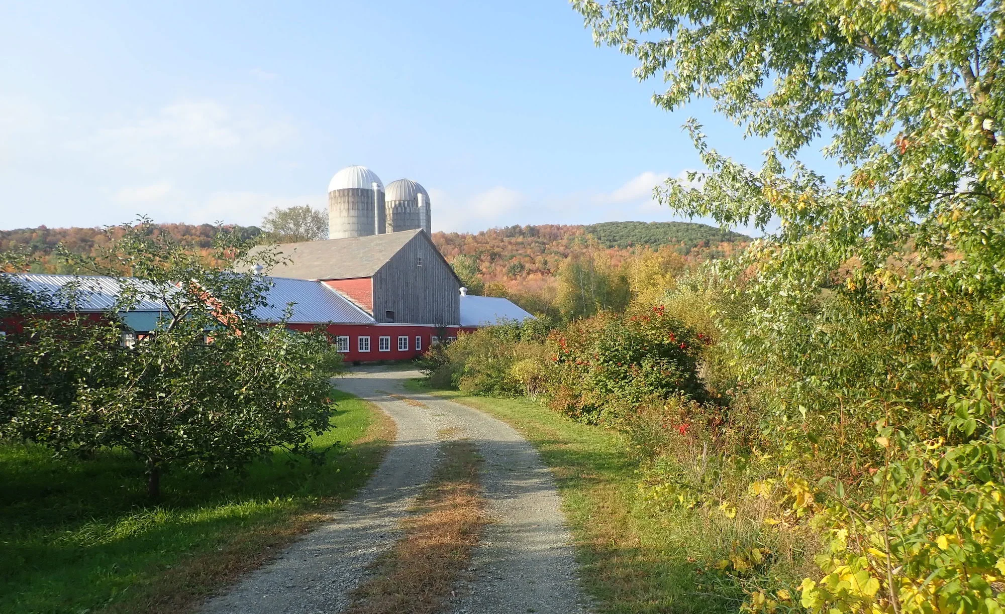 Farm+Between+Driveway.jpg