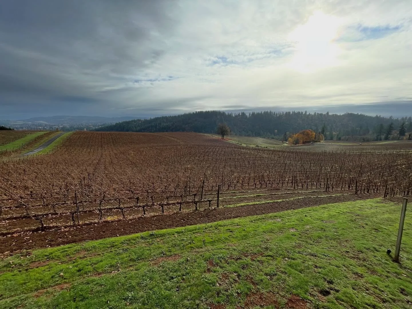@haakonlenaiwinery 

Vineyard tasting room views, Dundee hills.

#vineyard #views #horizon #clouds #cloudbreak #fall #autumn #sun #estate #organic #farm #farming #pnw #instawine #winetasting #instagram #instaview #wine