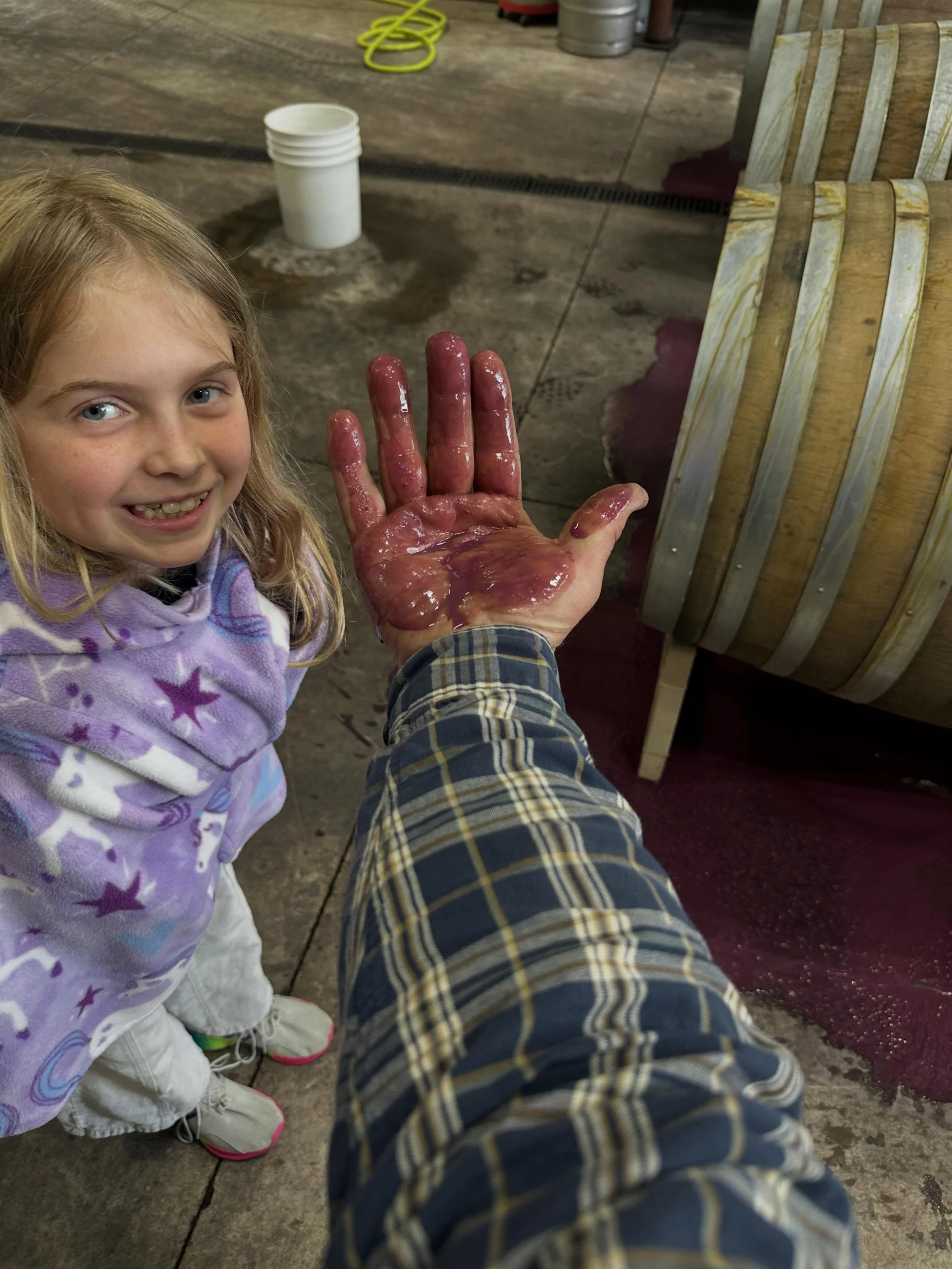 My helper! Washing barrels. It&rsquo;s the work. Wabi sabi.
#dundee #winery #family #daughter #wabisabi