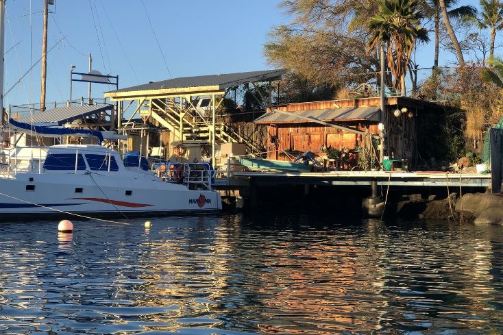 Honokohau Harbor is the departure location for the dolphin and reef adventure.