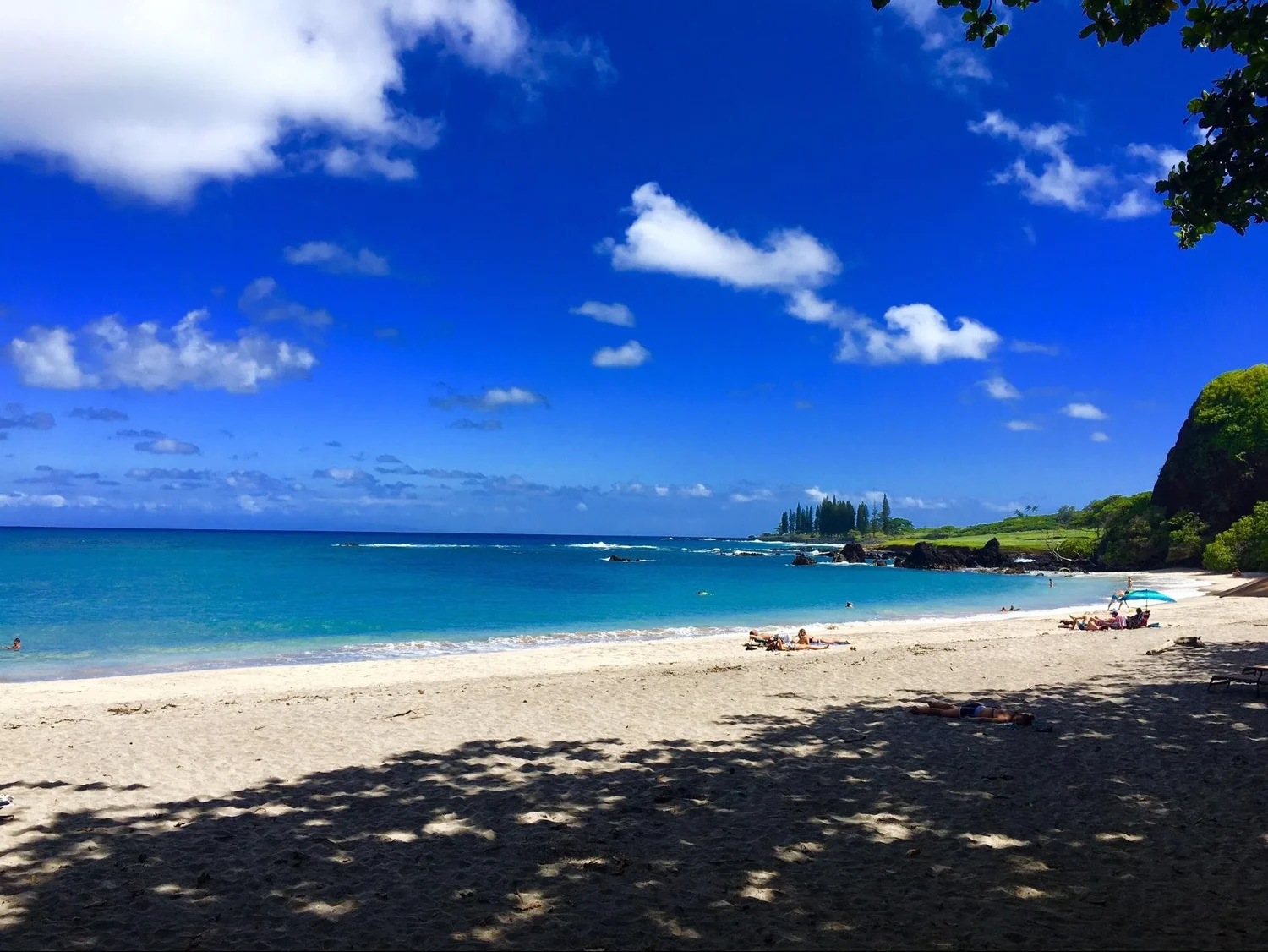 What's The Best Hawaiian Island For a Honeymoon? Read This — Home & Jet