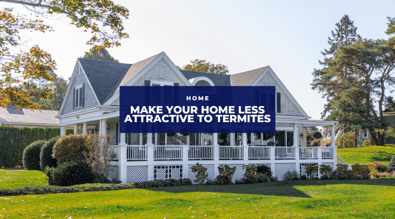 How to Make Your Home Less Attractive to Termites