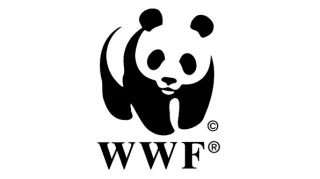 hero-wwf-596-334-7ff5a826.rendition.320.179.jpg