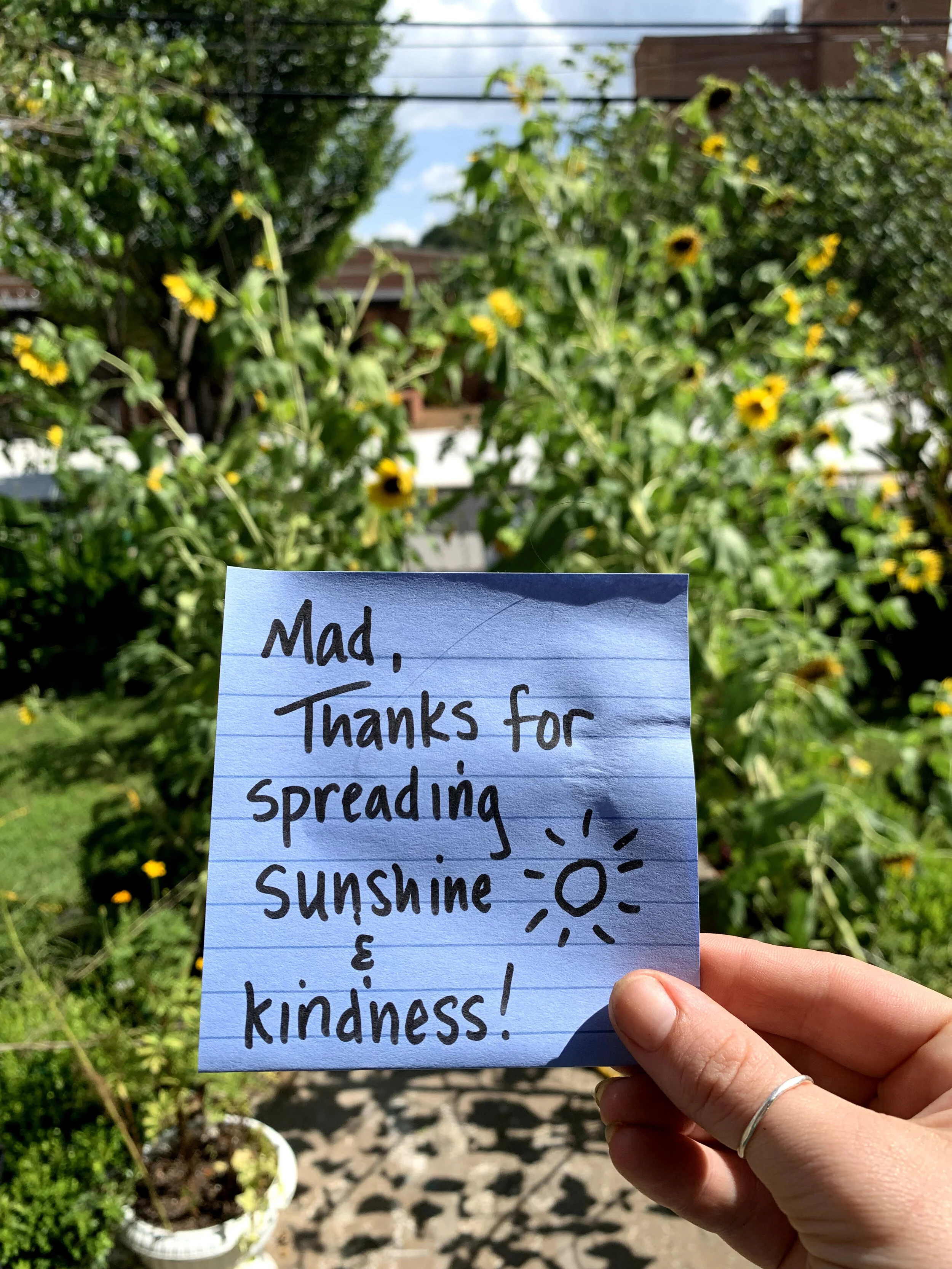 note from a neighbor.jpg