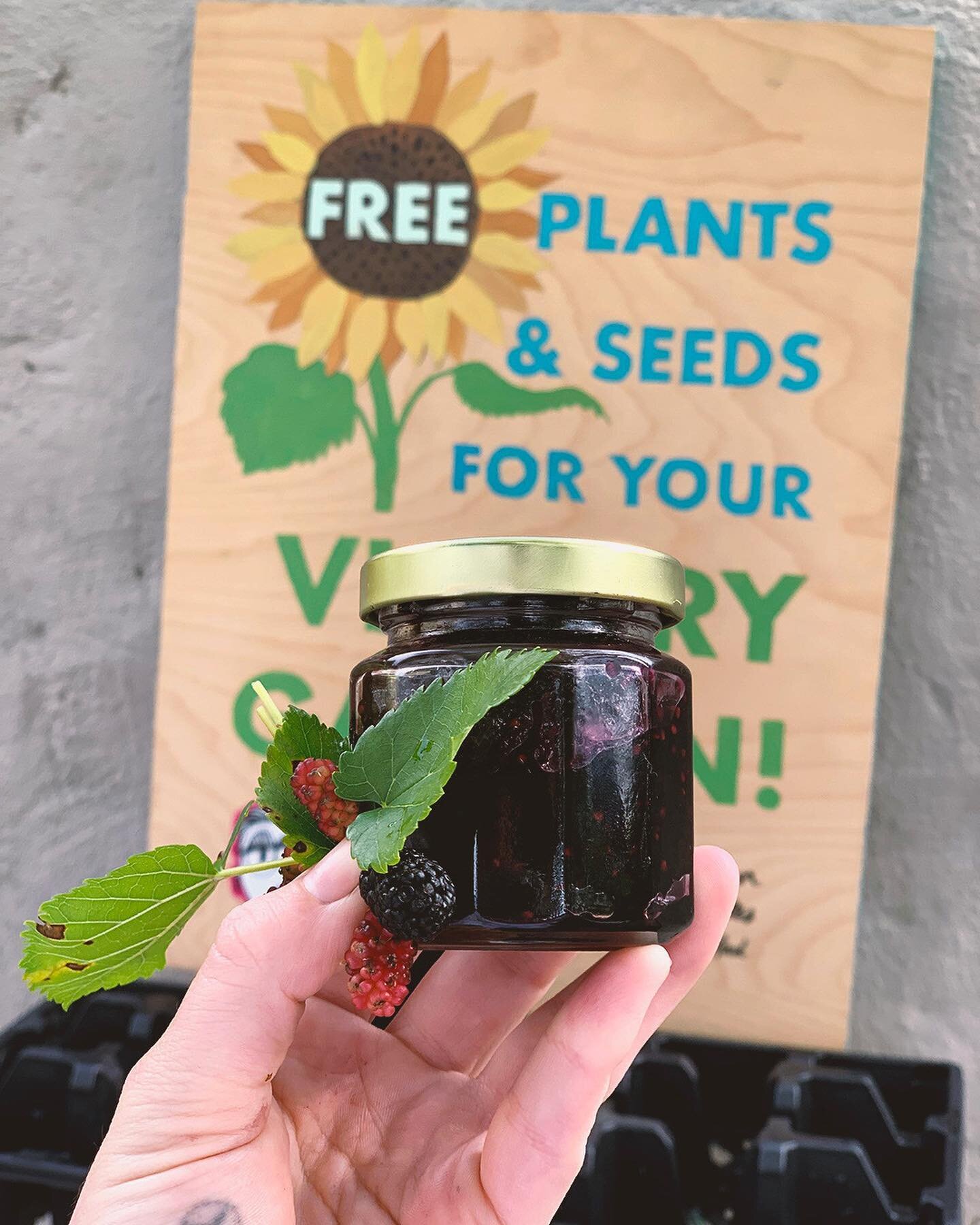 🎊 giveaway!!!! 🎊 I have three jars of ~*~fresh~* mulberry jam for three lucky winners today. The tree out front has been raining juicy berries so I&rsquo;m passing along the goodness to my neighbors! 😋💜
.
.
.
.
Last night I served this on some op