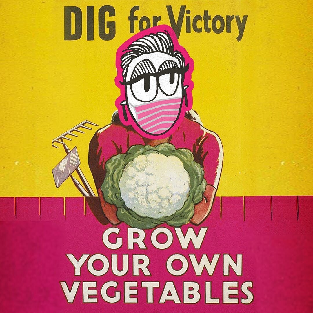 Last week&rsquo;s drop of free seedlings for #Victory went great! 🌱 I gave out 12 plants each of giant sunflowers and climbing pole beans to my friends and neighbors. They sure went fast!
.
.
.
This week I&rsquo;m planning to drop some smaller sunfl