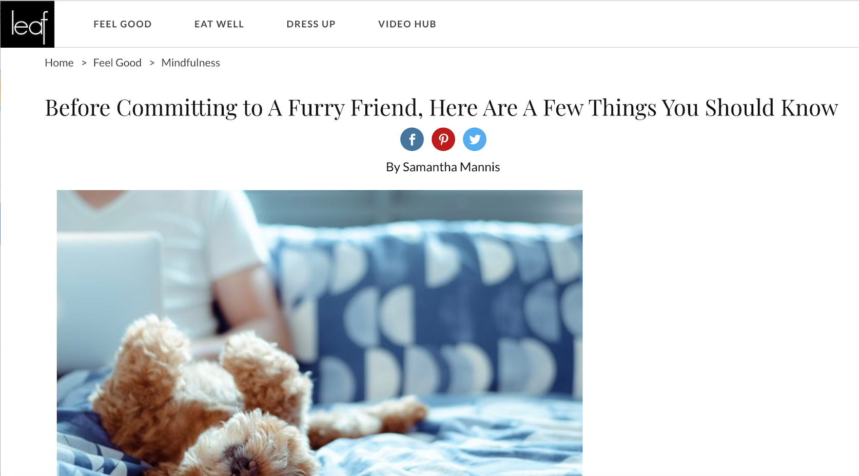  Dog ownership isn’t always a walk in the park.     Read more.   